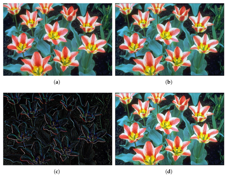 Micromachines 13 00067 g011