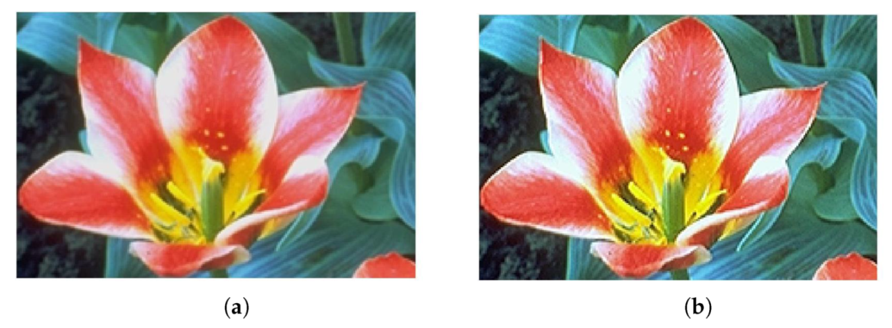 Micromachines 13 00067 g012