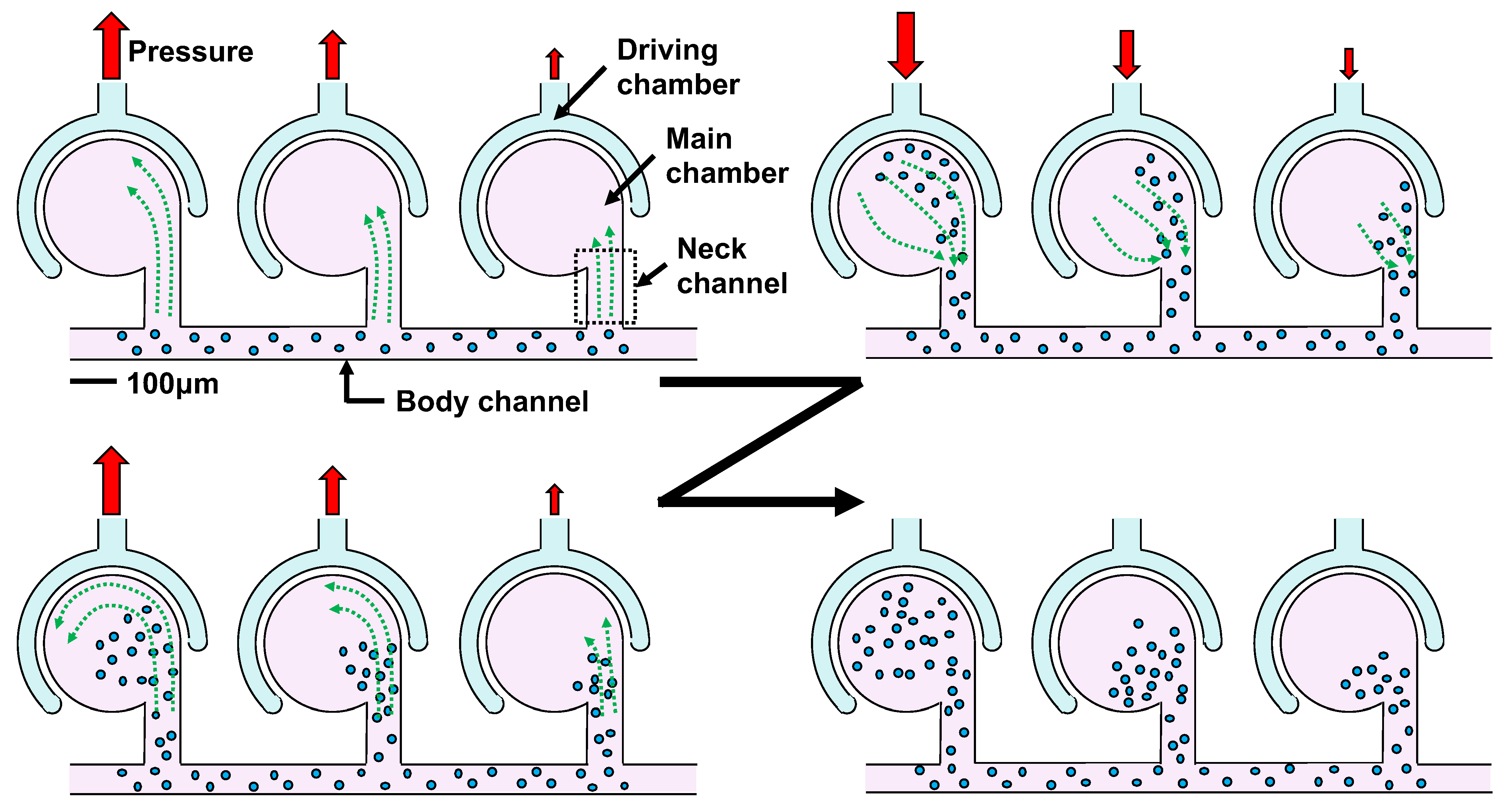 Micromachines 13 00068 g001