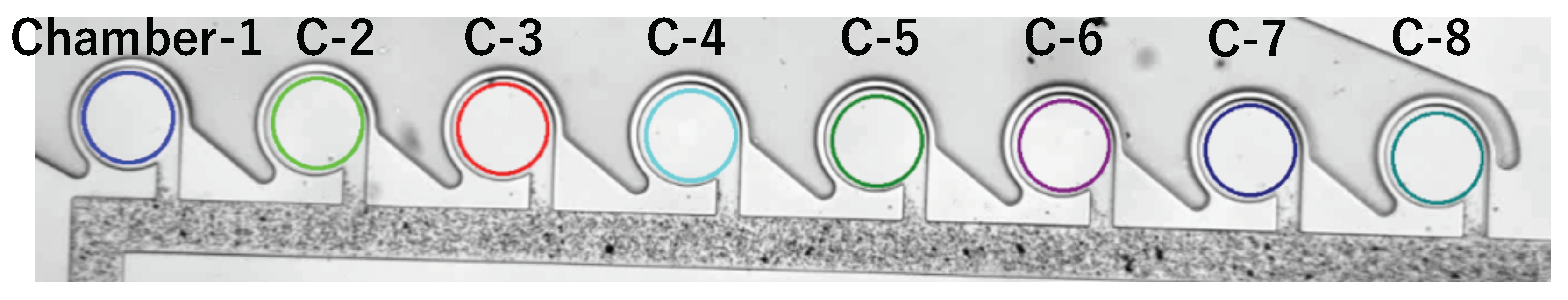 Micromachines 13 00068 g005