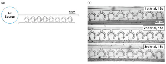 Micromachines 13 00068 g0a3 550