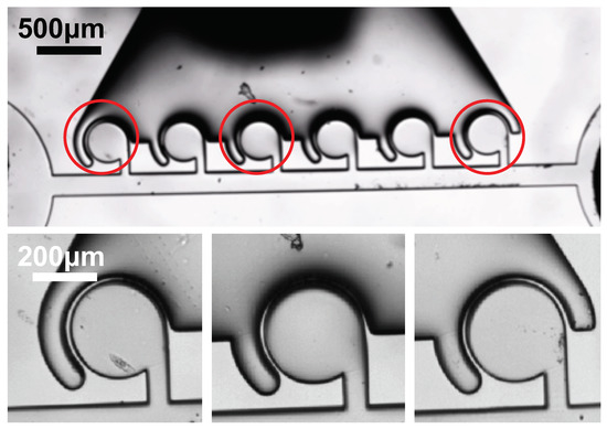 Micromachines 13 00068 g0a5 550