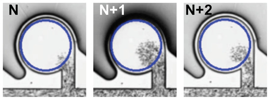 Micromachines 13 00068 g0a6 550