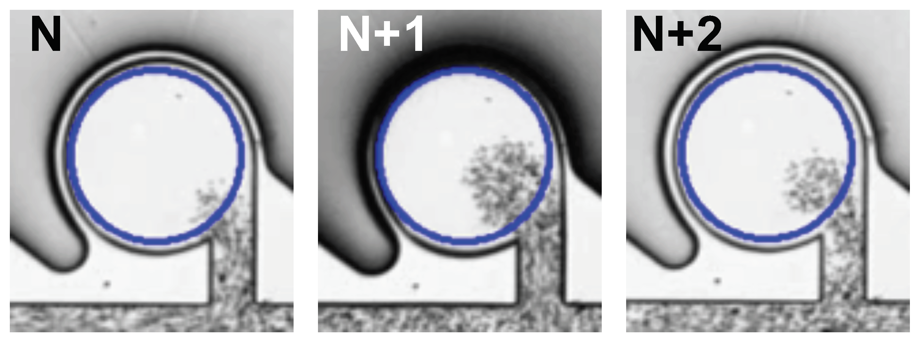 Micromachines 13 00068 g0a6