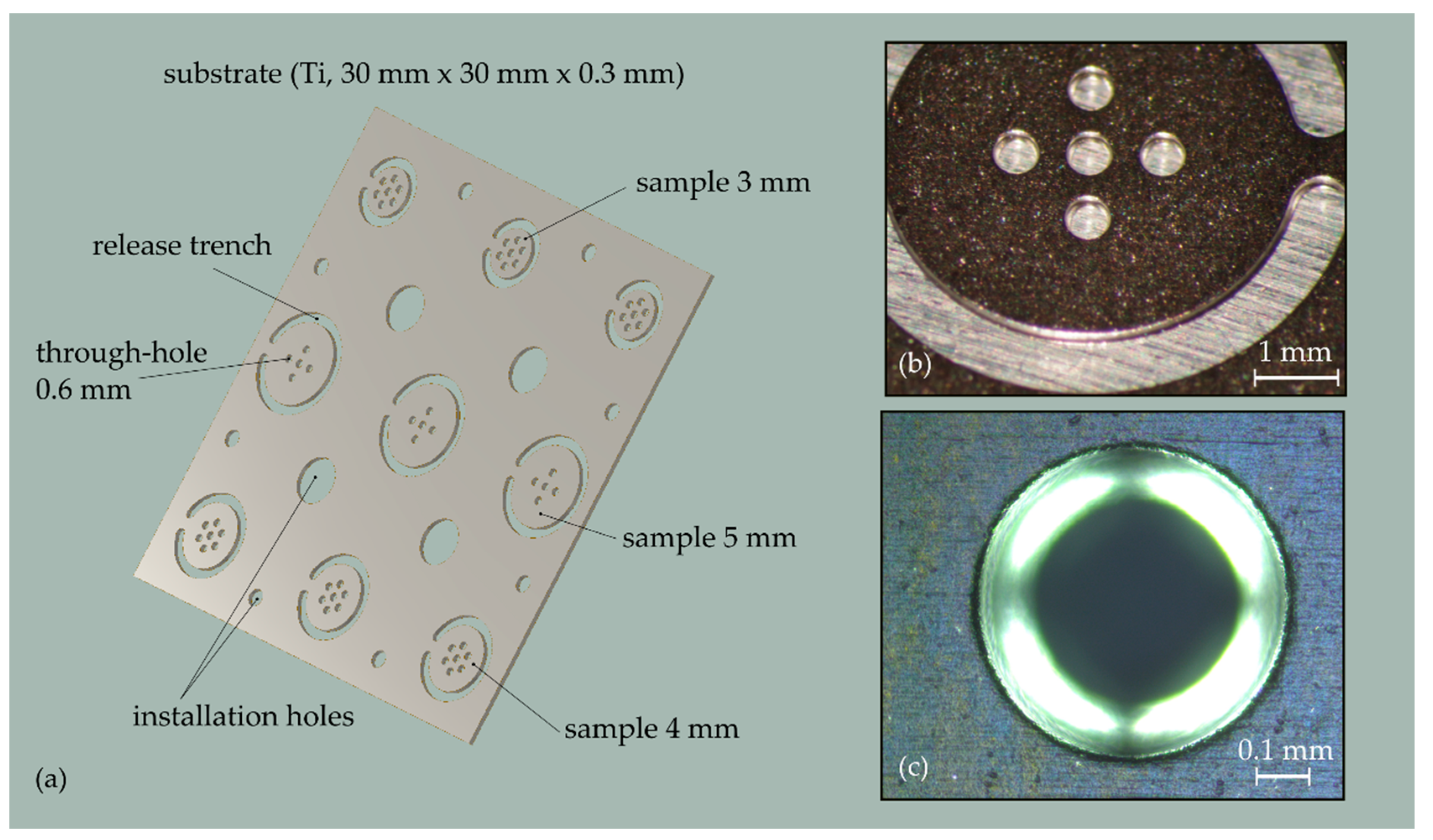 Micromachines 13 00074 g003