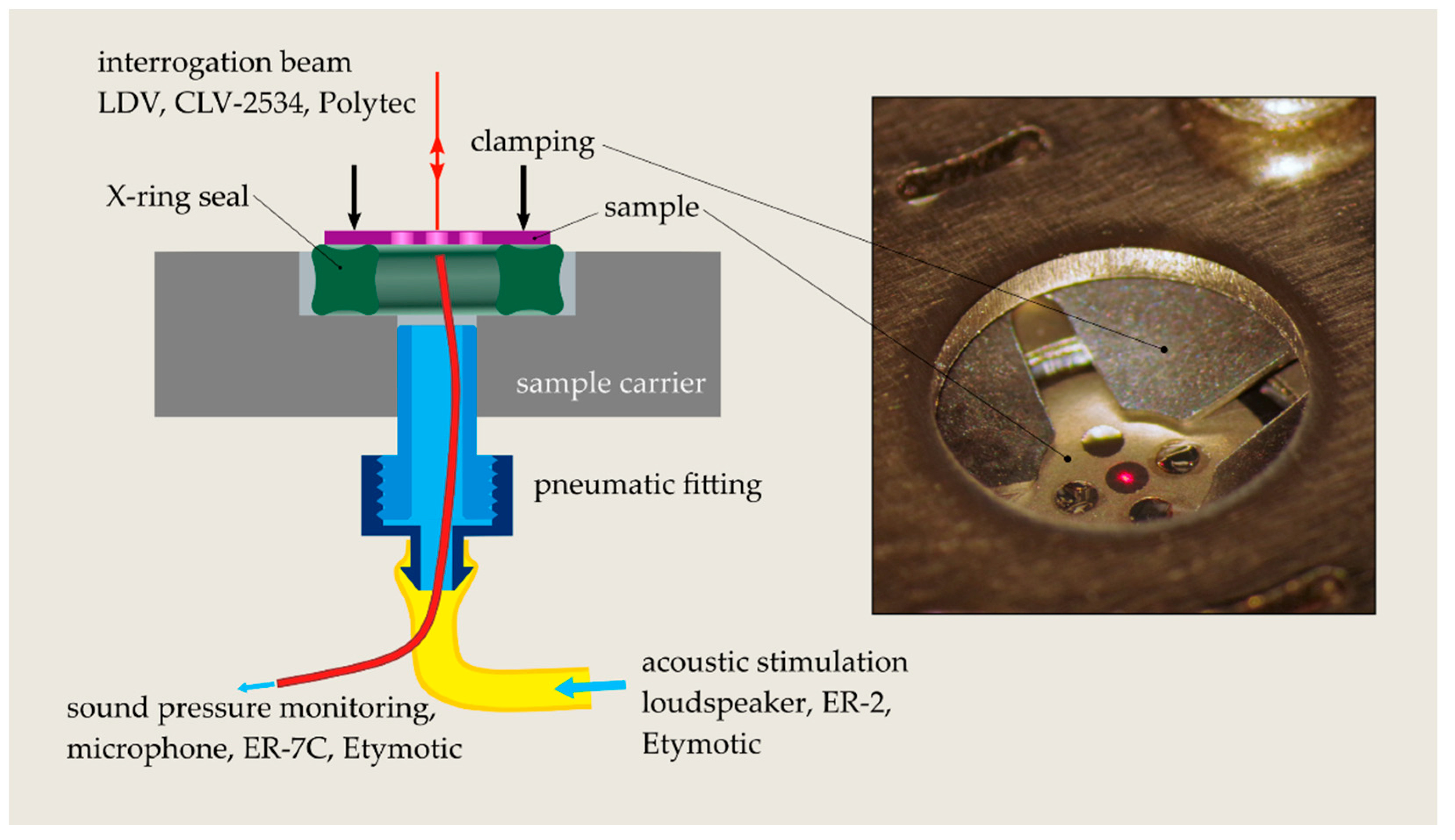 Micromachines 13 00074 g006
