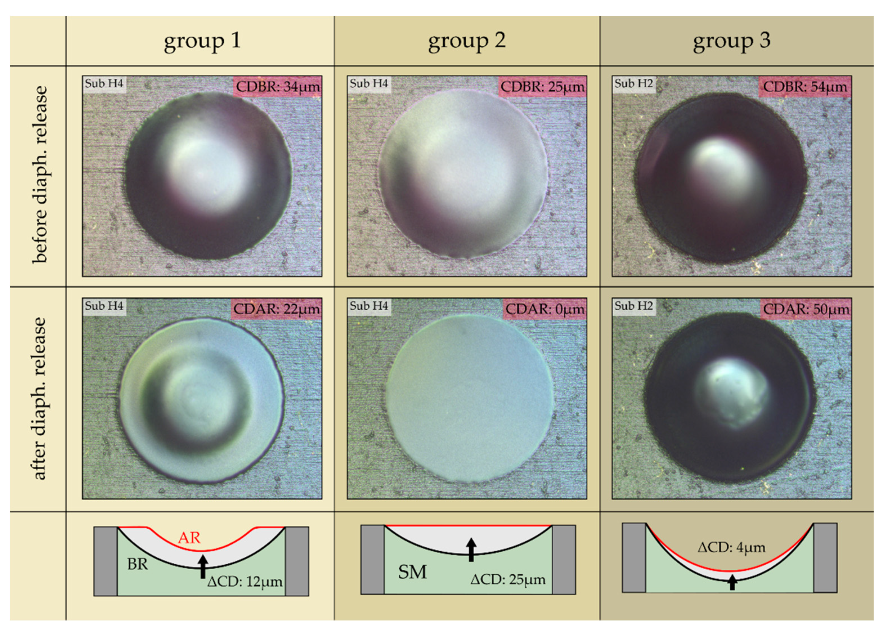 Micromachines 13 00074 g010