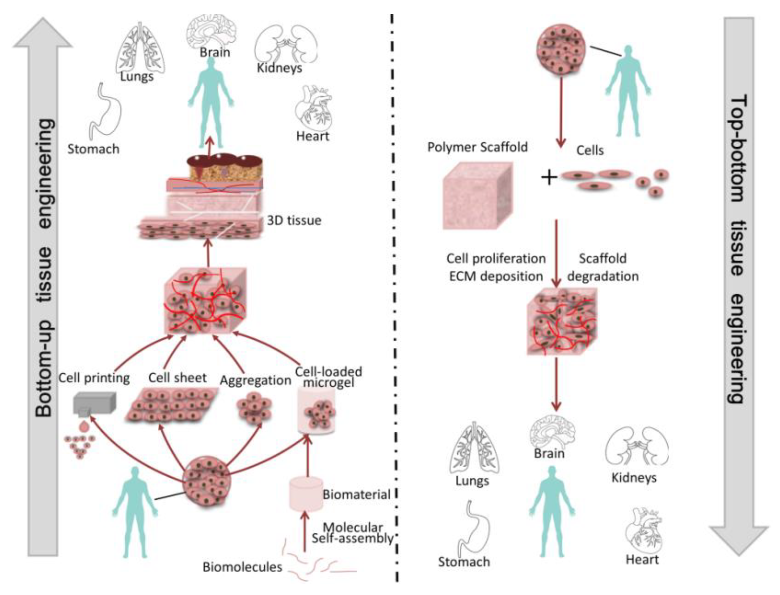 Micromachines 13 00075 g001