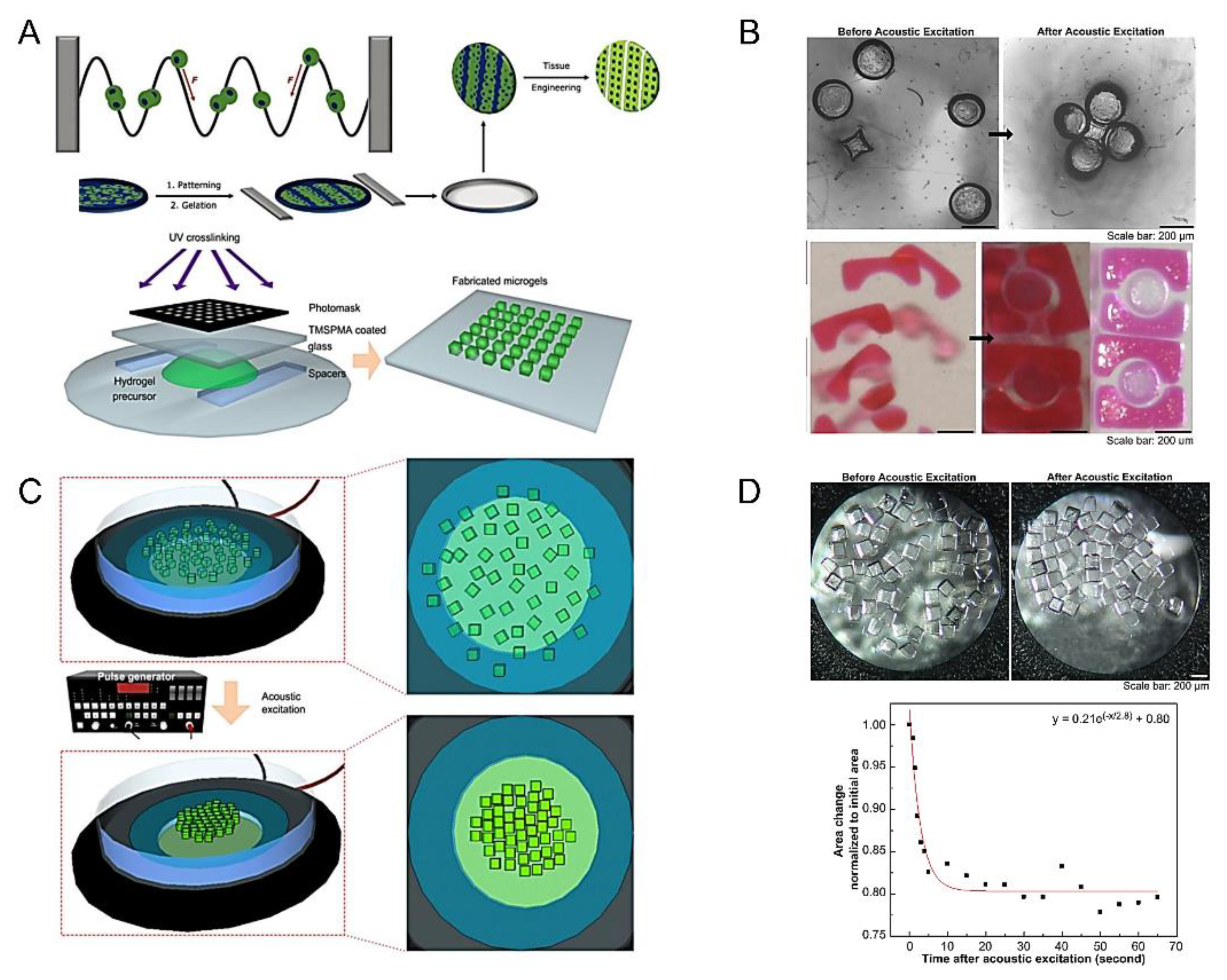 Micromachines 13 00075 g008