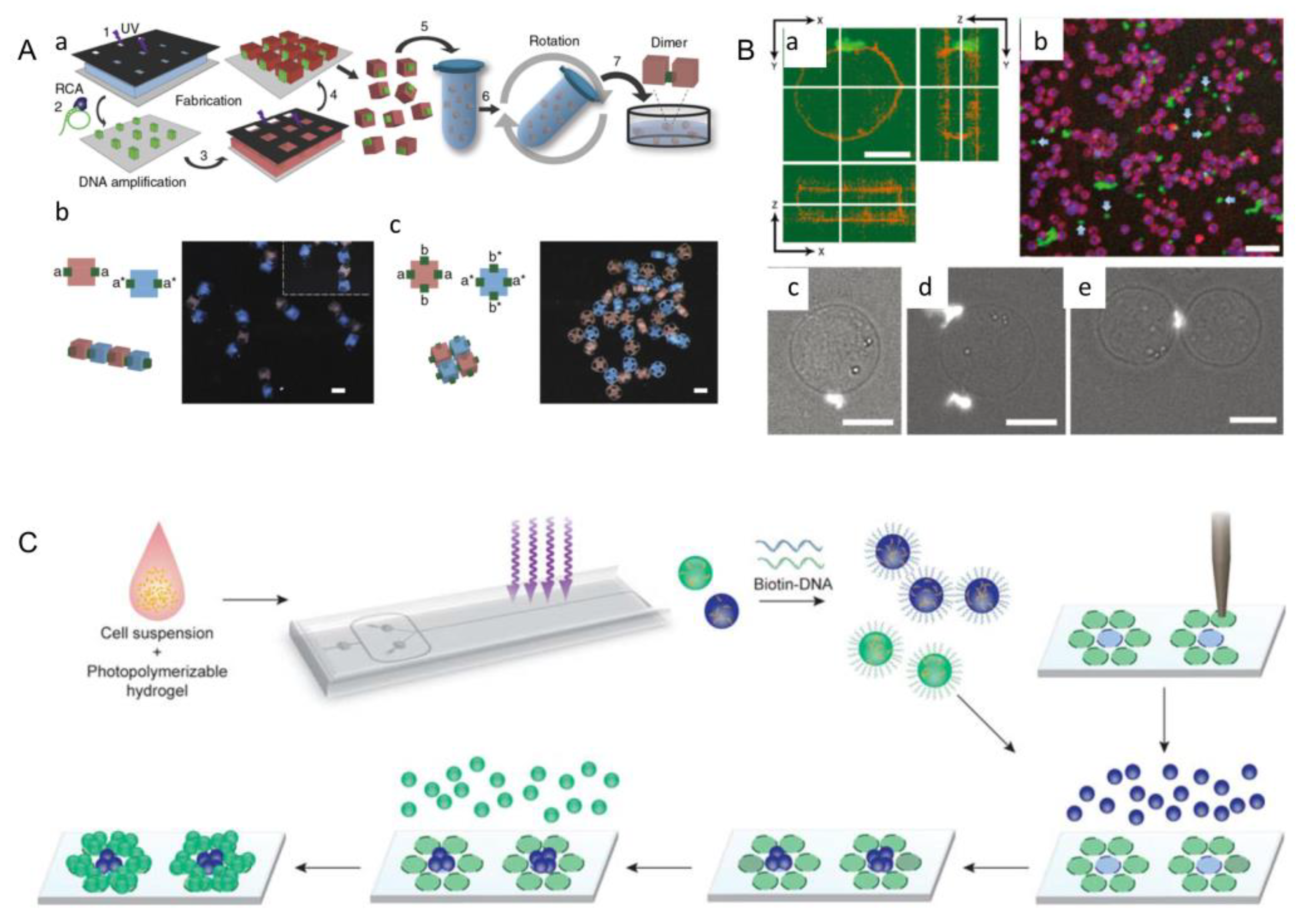 Micromachines 13 00075 g010