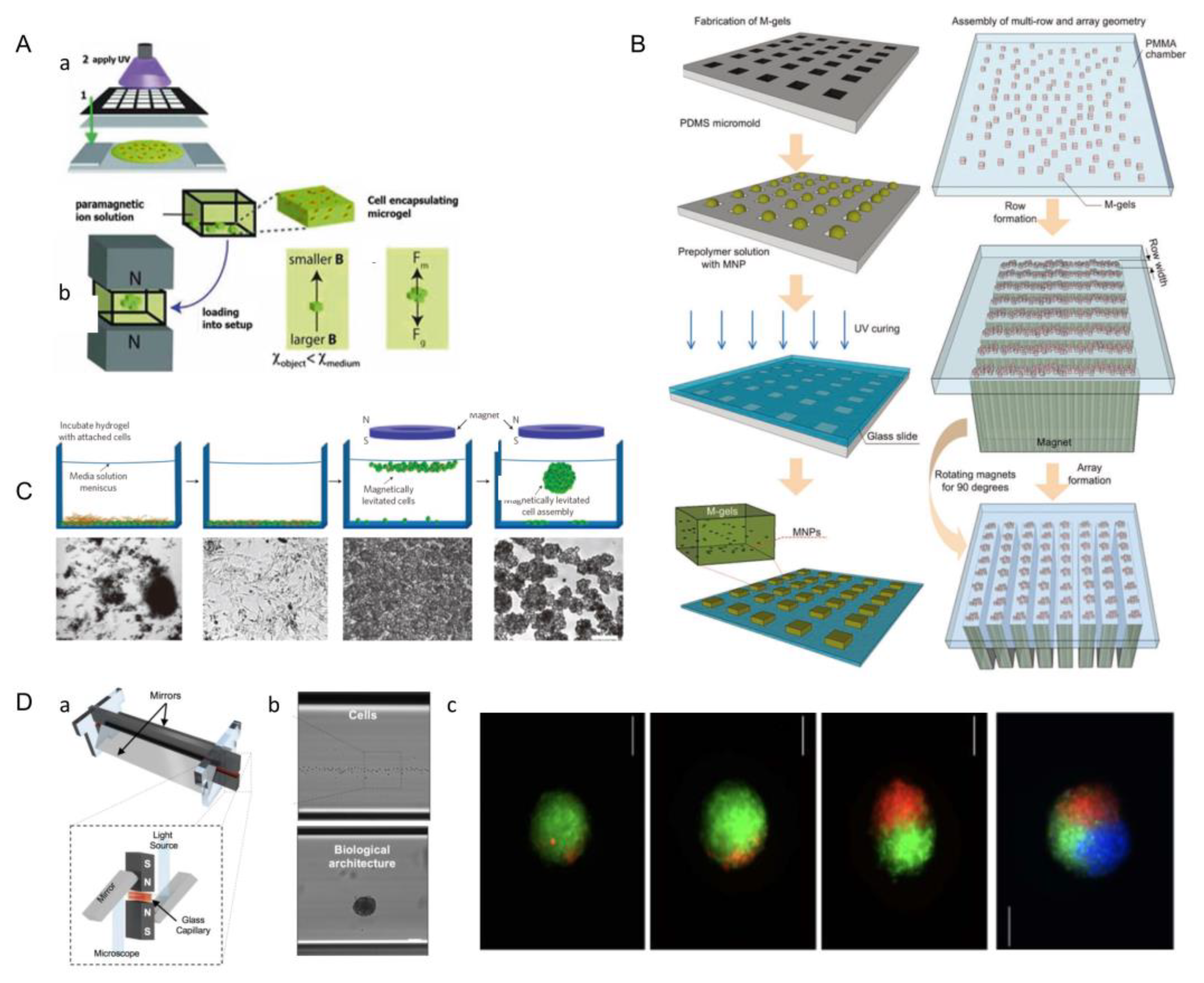Micromachines 13 00075 g011