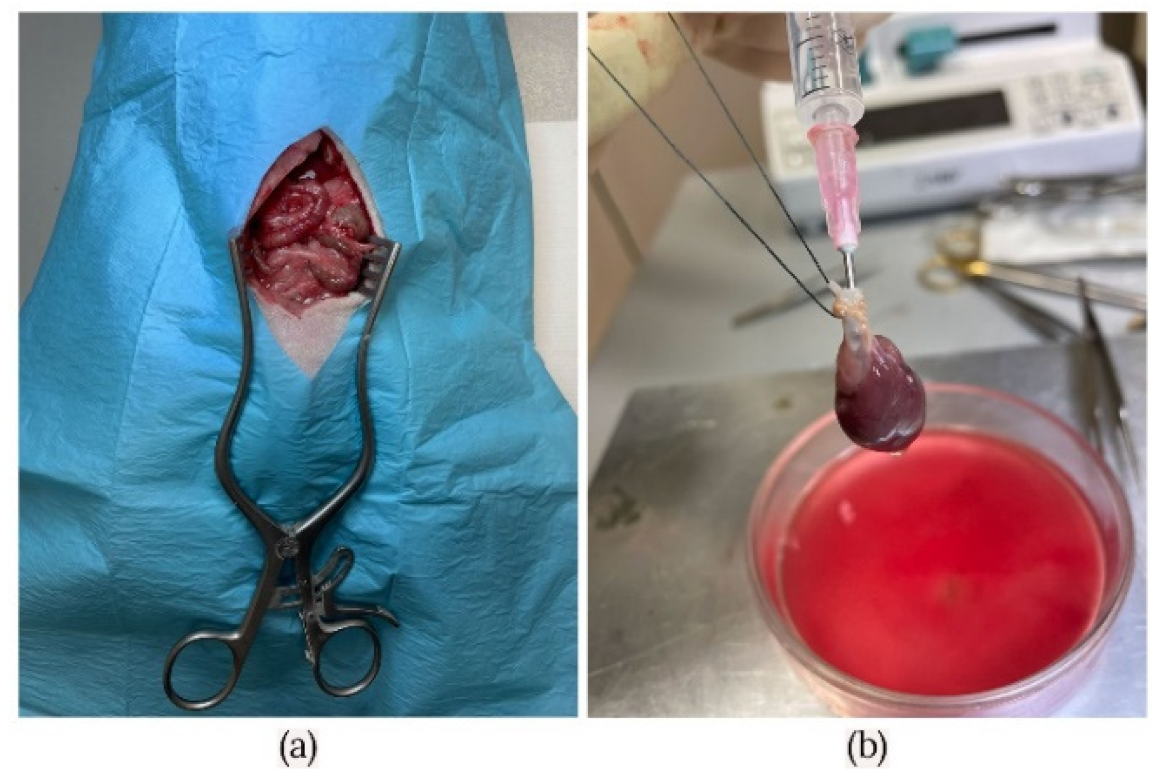 Micromachines 13 00079 g001