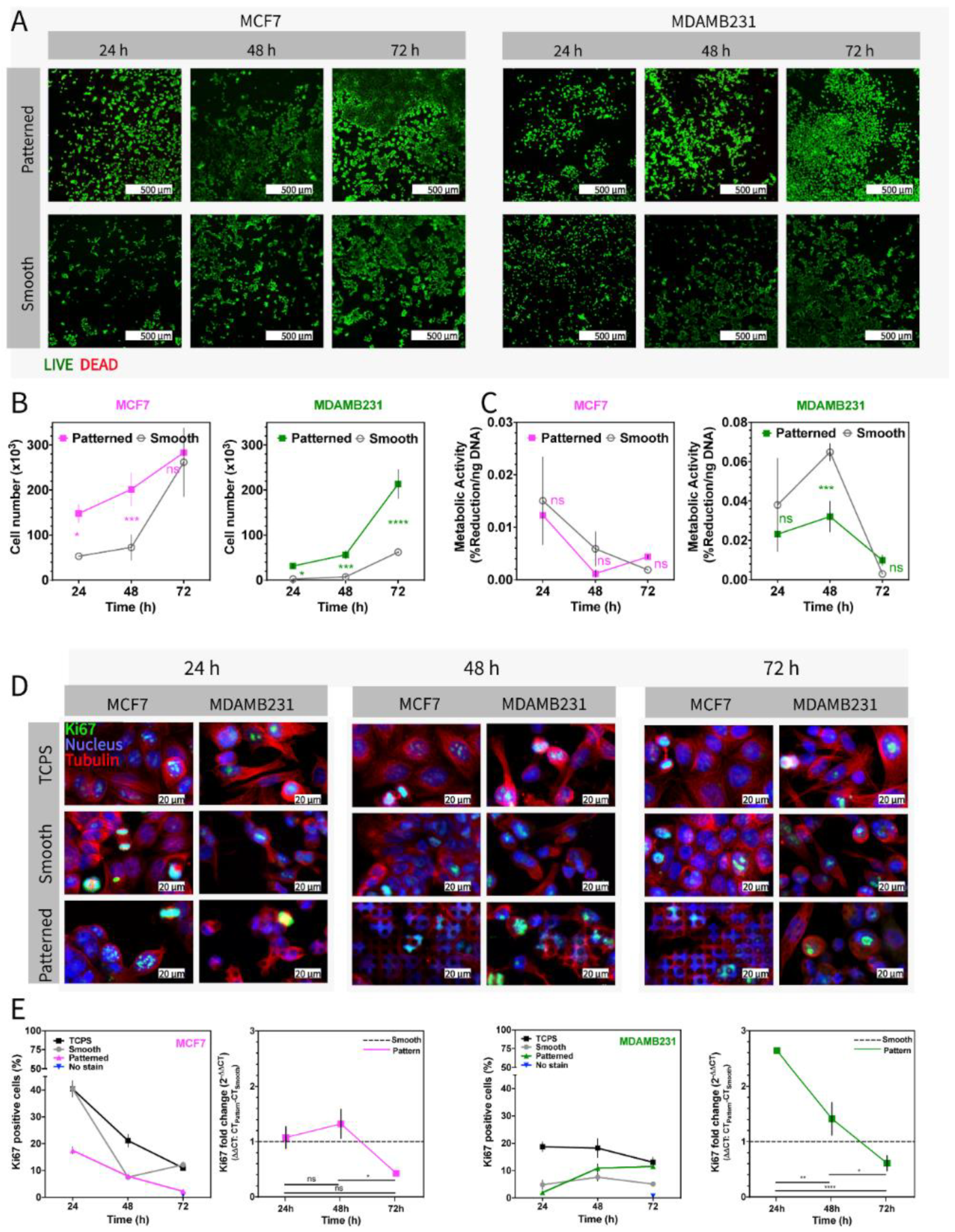 Micromachines 13 00093 g003
