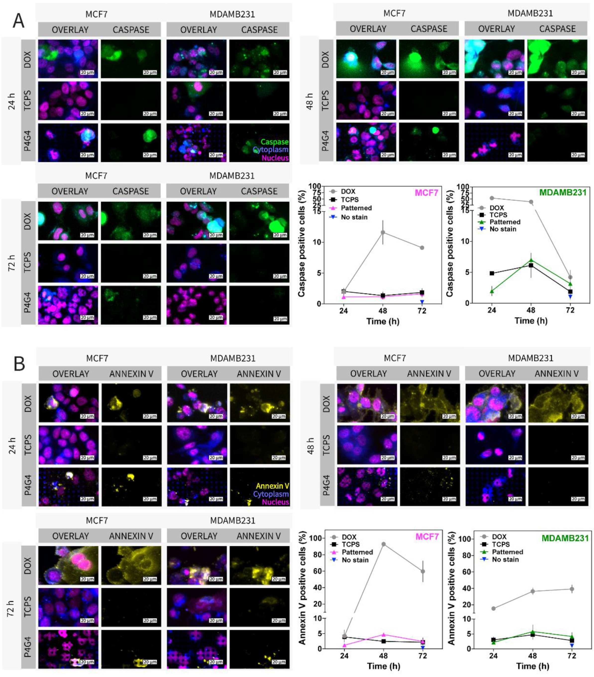 Micromachines 13 00093 g004