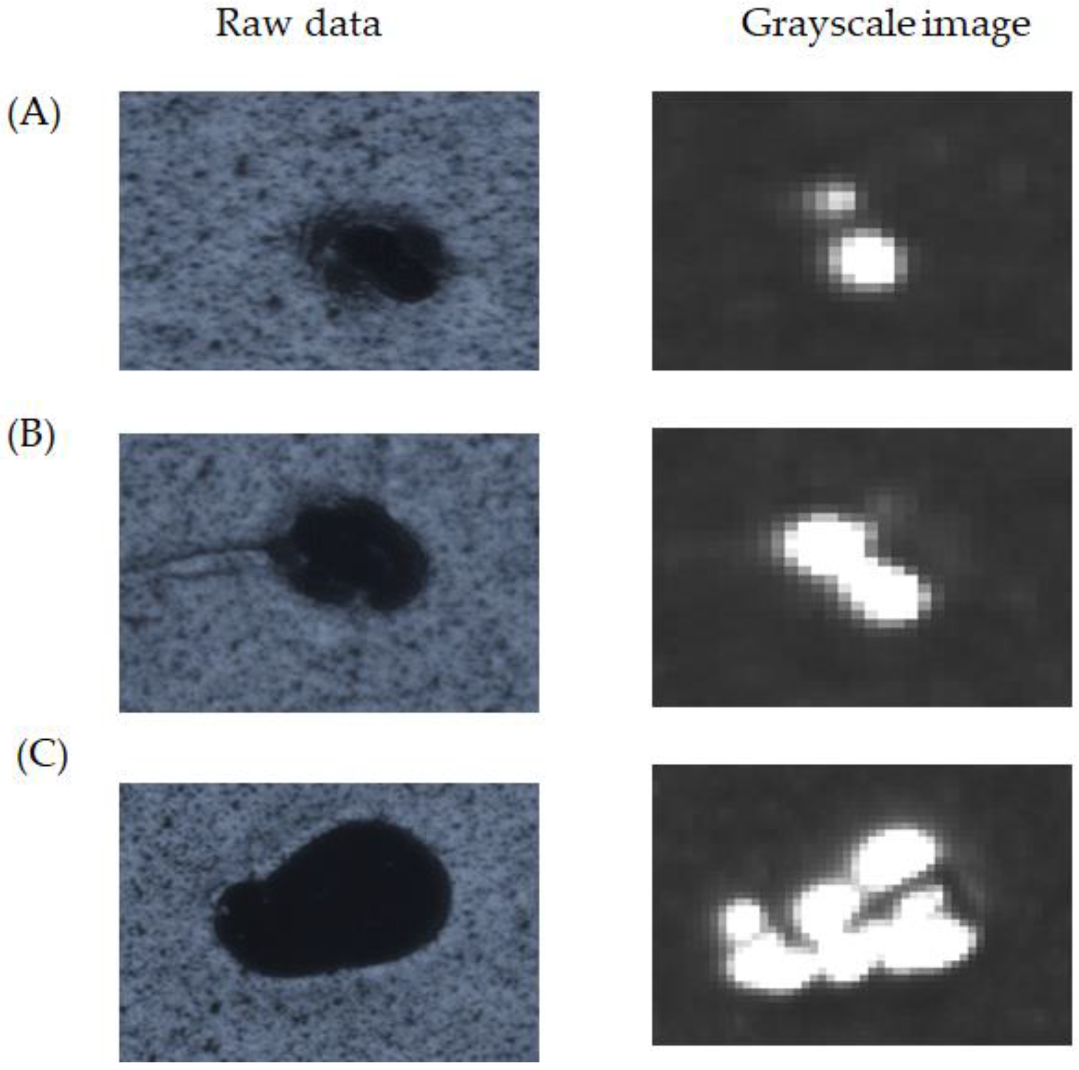 Micromachines 13 00101 g012