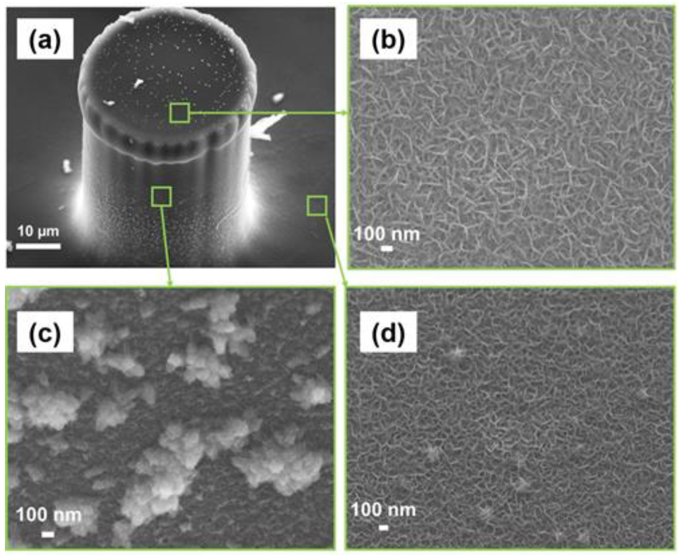 Micromachines 13 00104 g003
