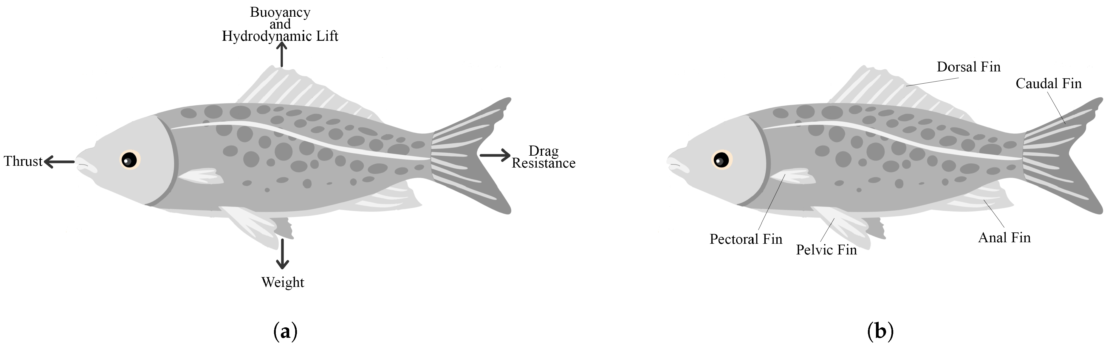 Micromachines 13 00110 g001