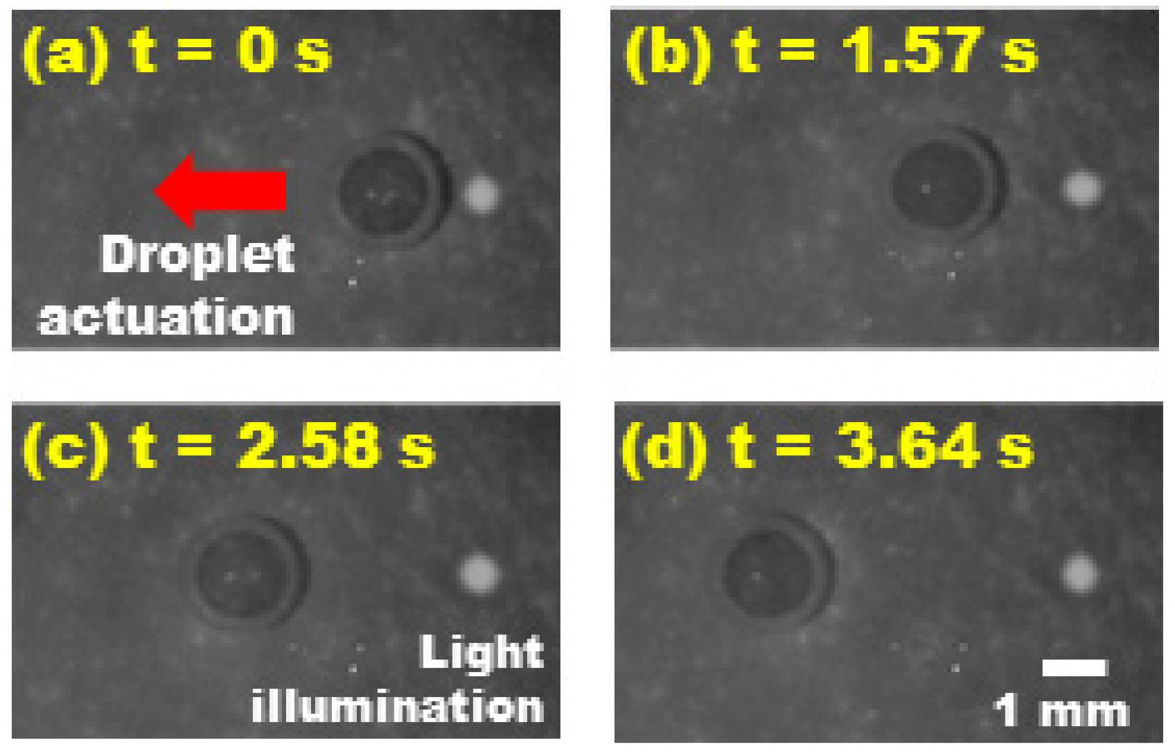 Micromachines 13 00112 g006