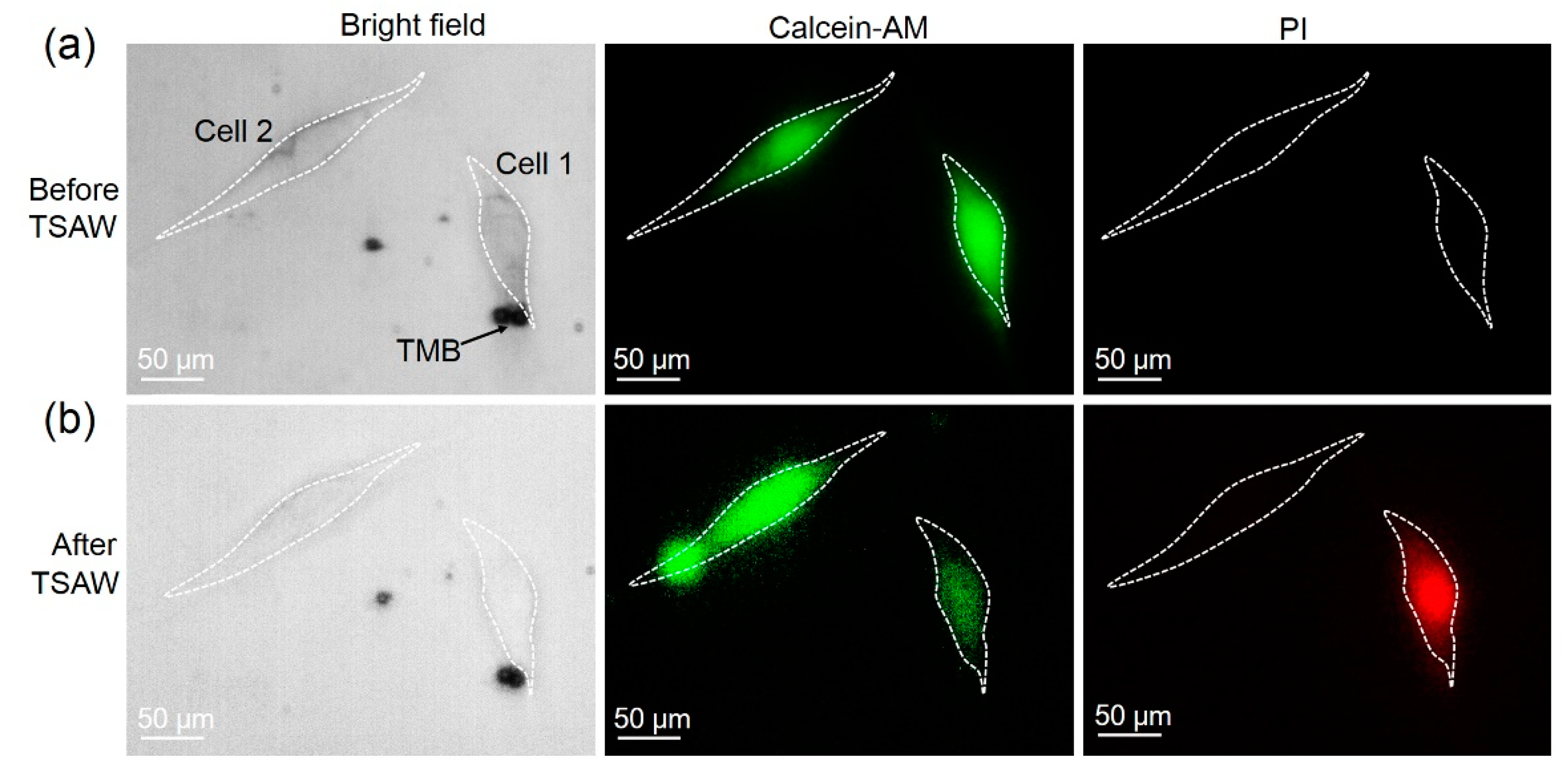 Micromachines 13 00113 g002
