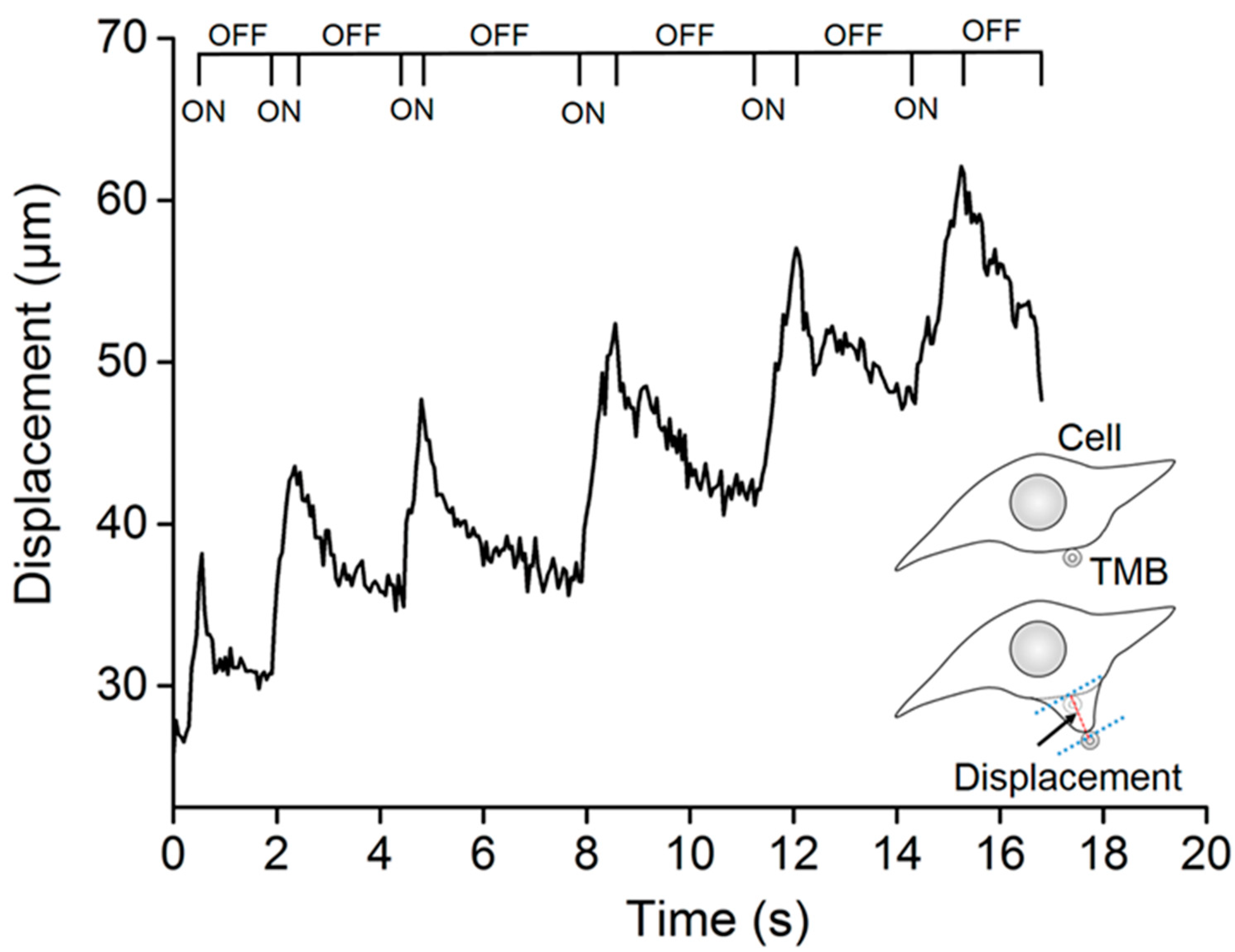 Micromachines 13 00113 g005