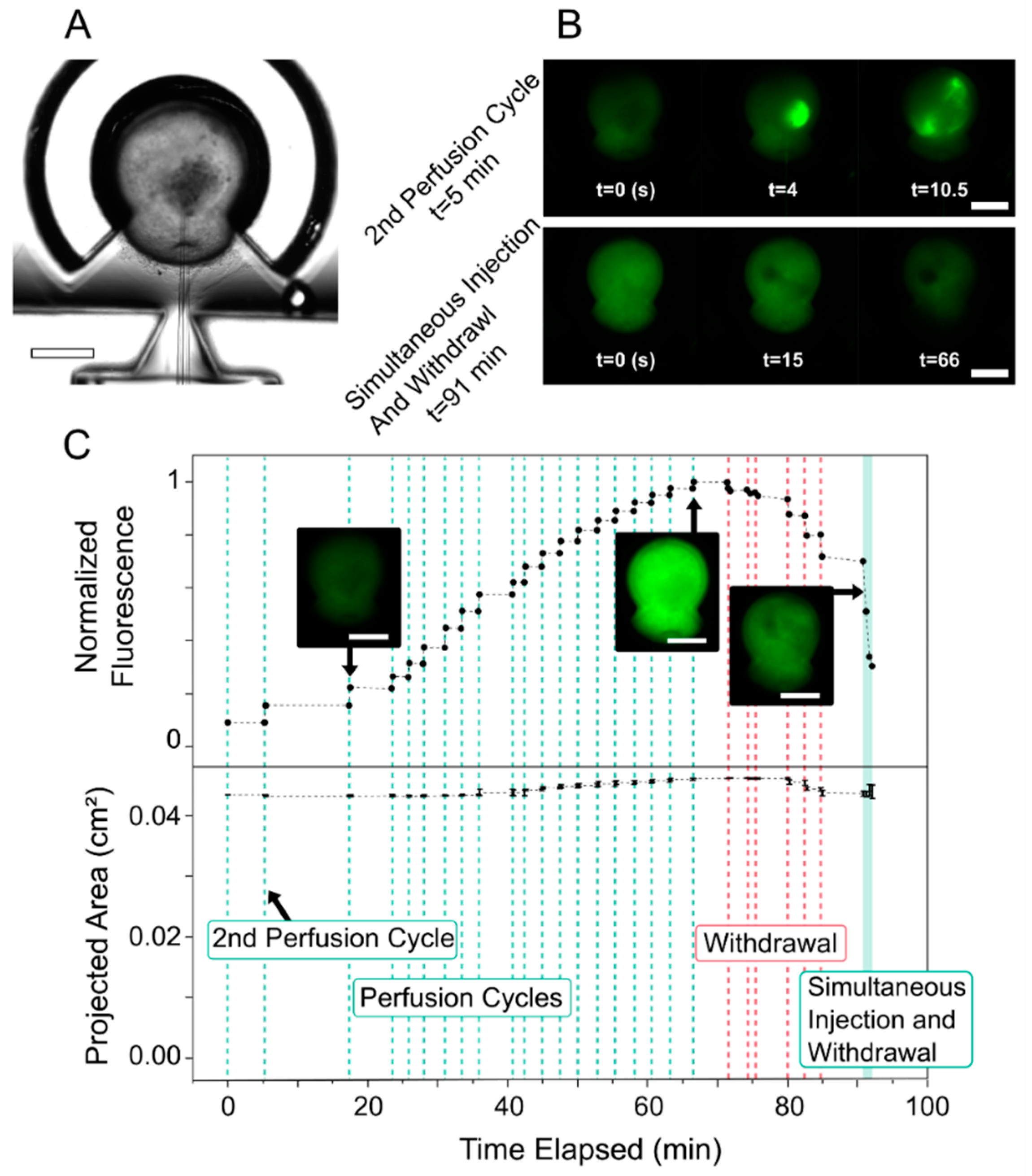 Micromachines 13 00131 g002