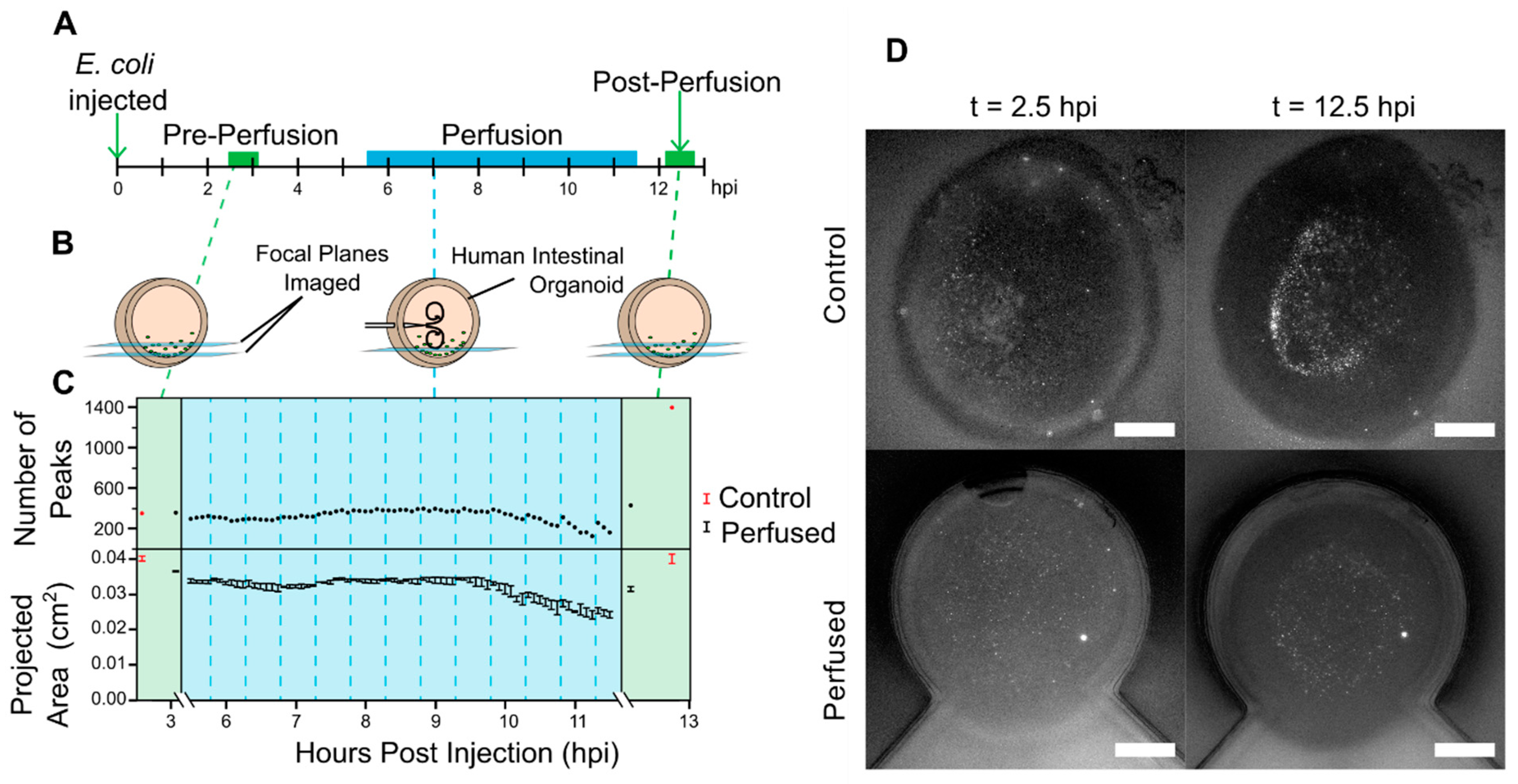 Micromachines 13 00131 g004