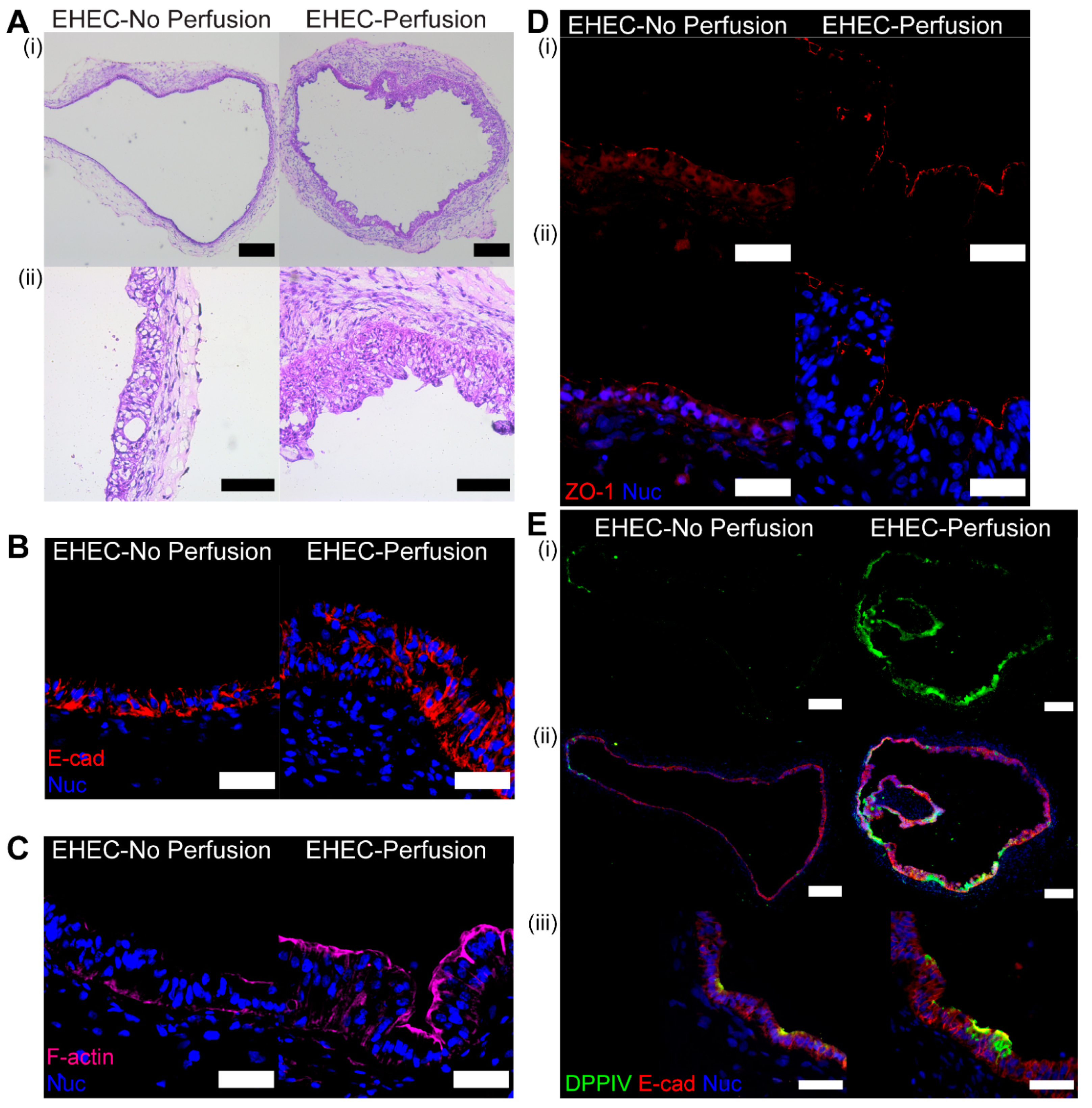 Micromachines 13 00131 g005
