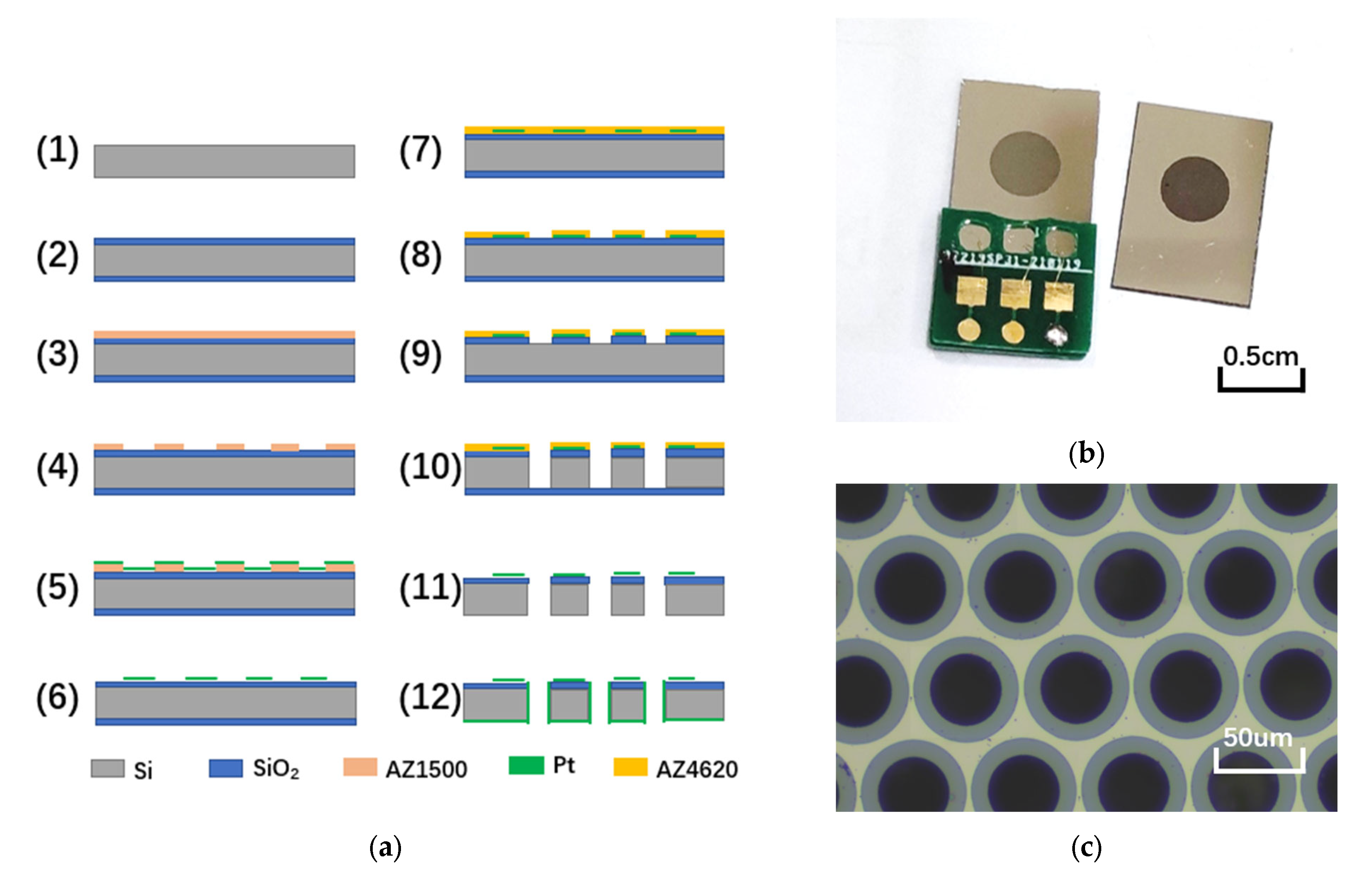 Micromachines 13 00143 g004
