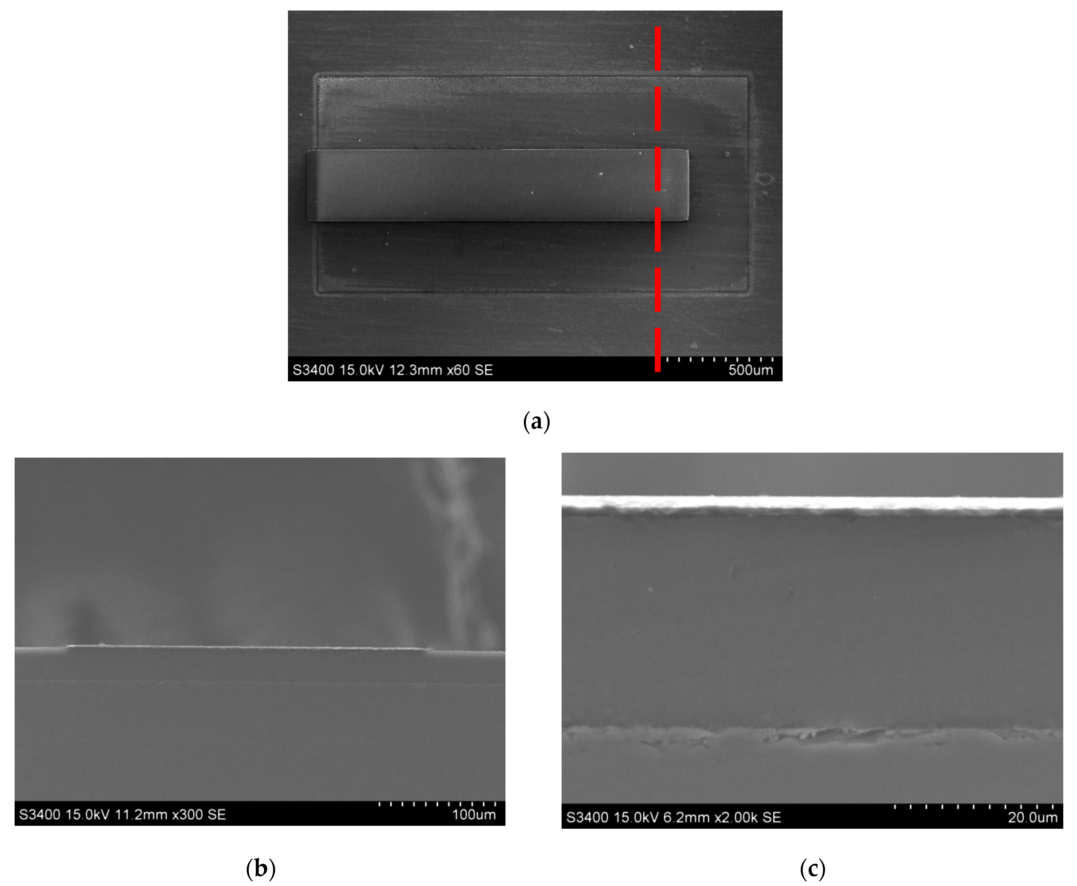 Micromachines 13 00144 g005
