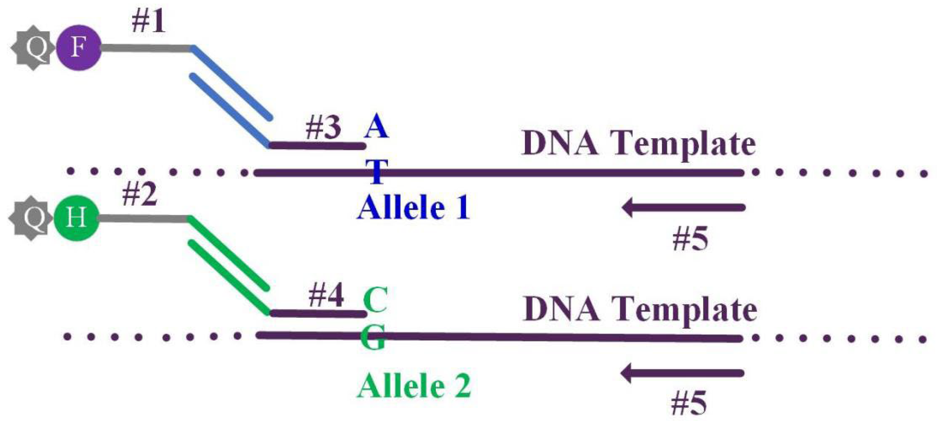 Micromachines 13 00145 g001
