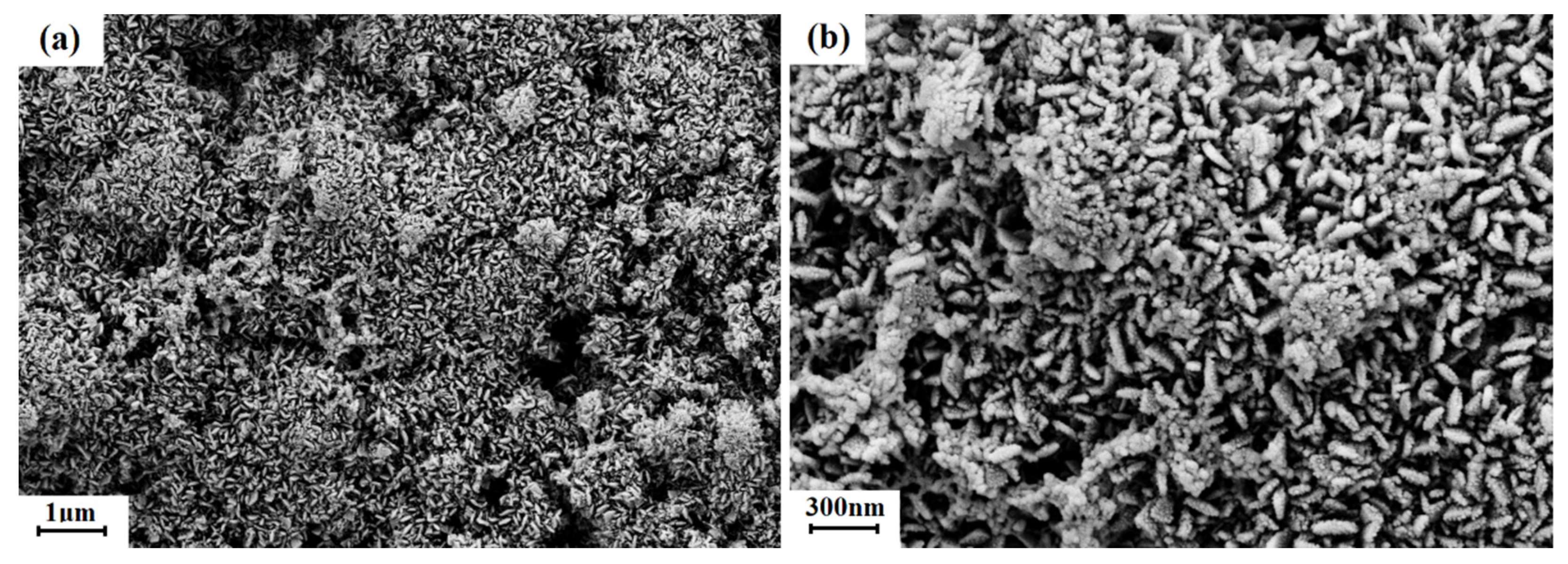 Micromachines 13 00149 g008