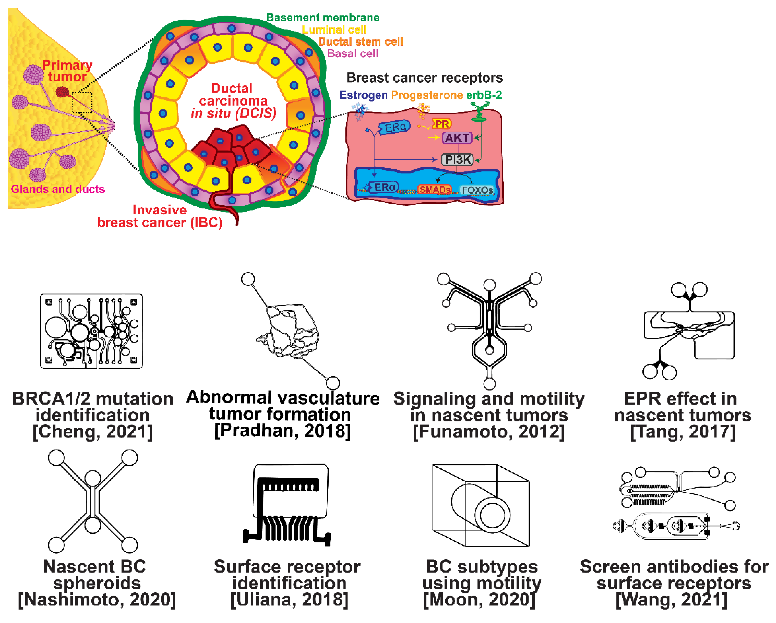 Micromachines 13 00152 g001