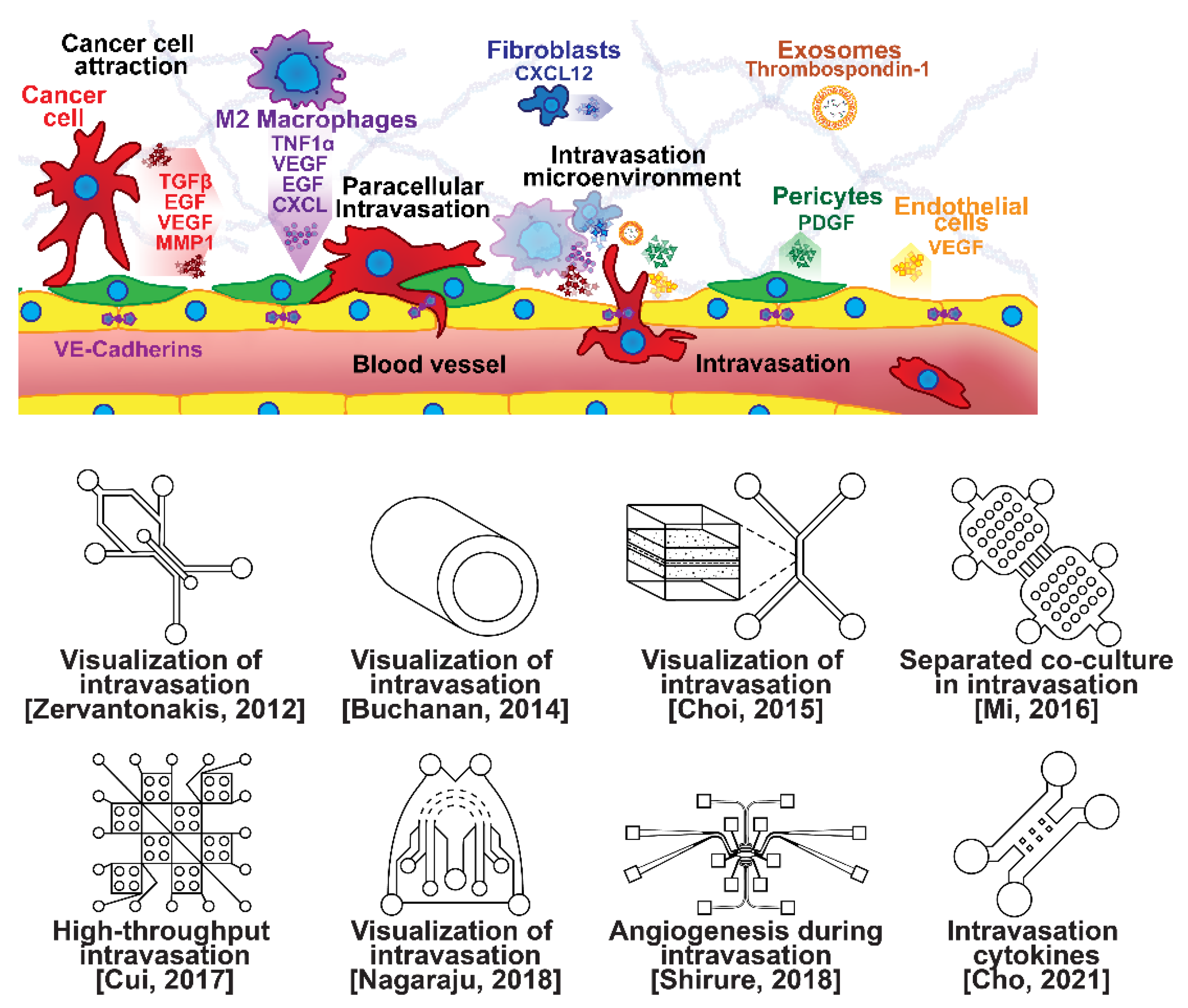 Micromachines 13 00152 g003