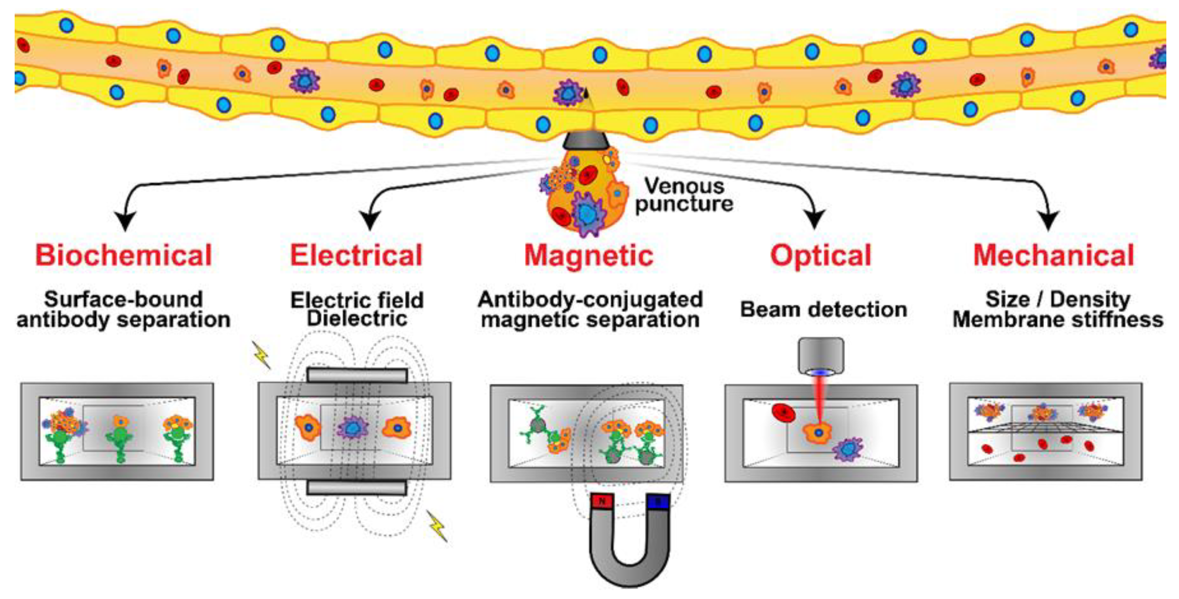 Micromachines 13 00152 g006