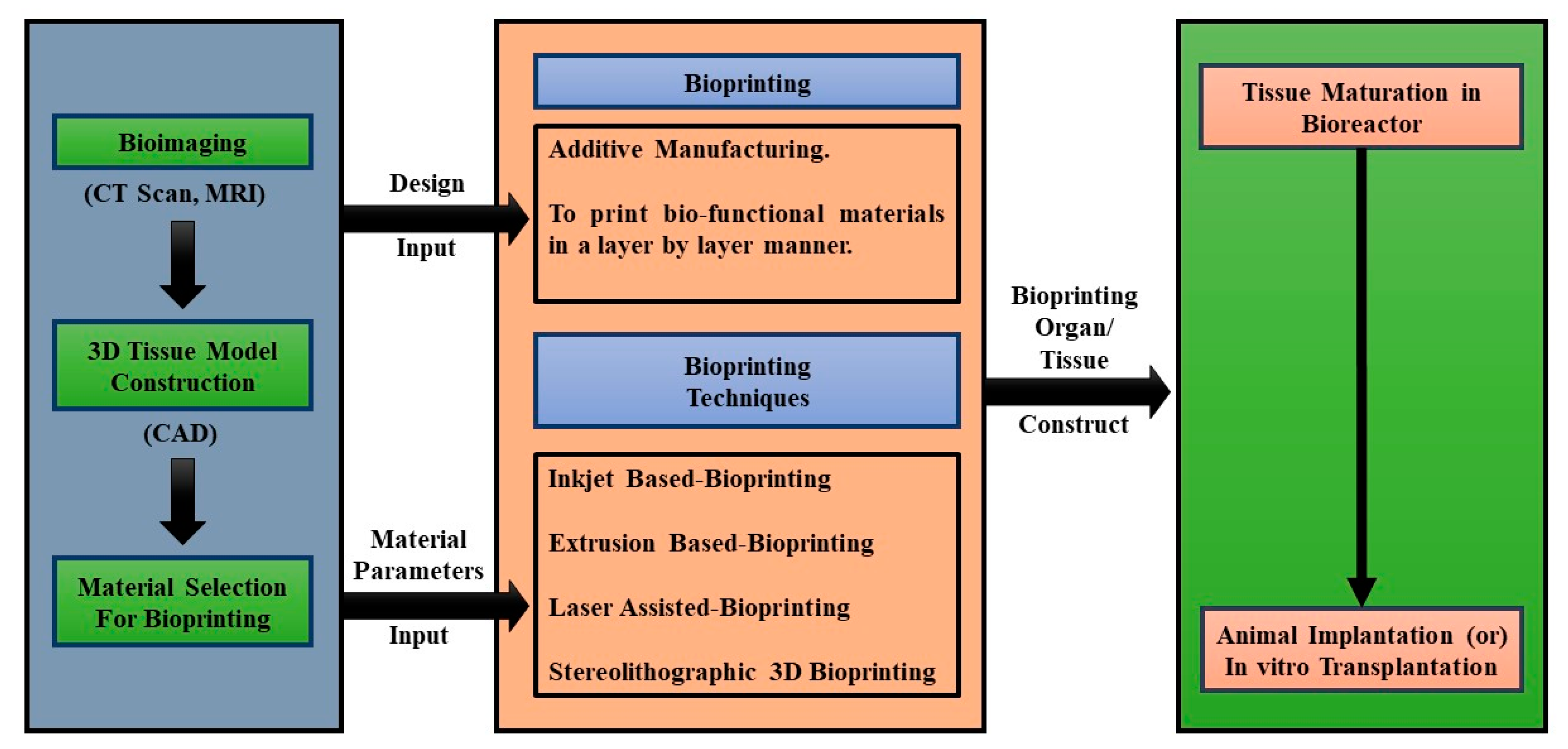 Micromachines 13 00155 g002