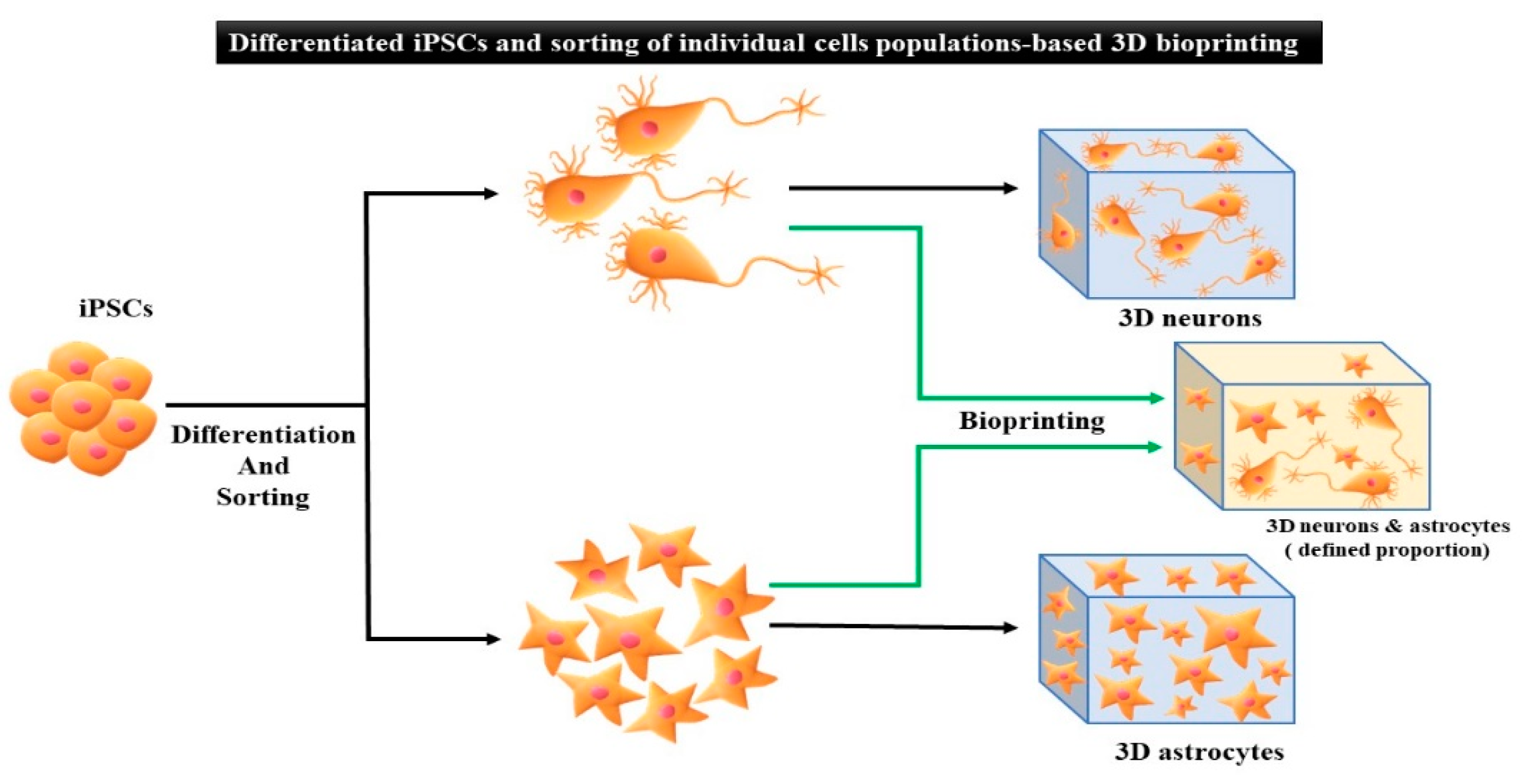 Micromachines 13 00155 g005