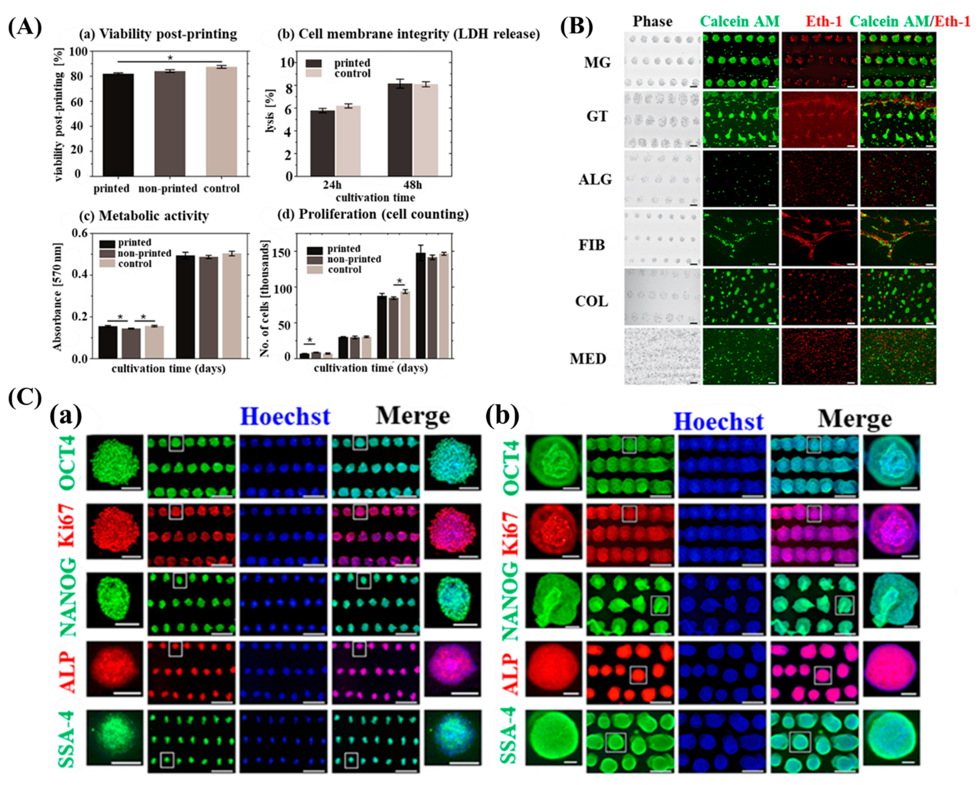 Micromachines 13 00155 g007