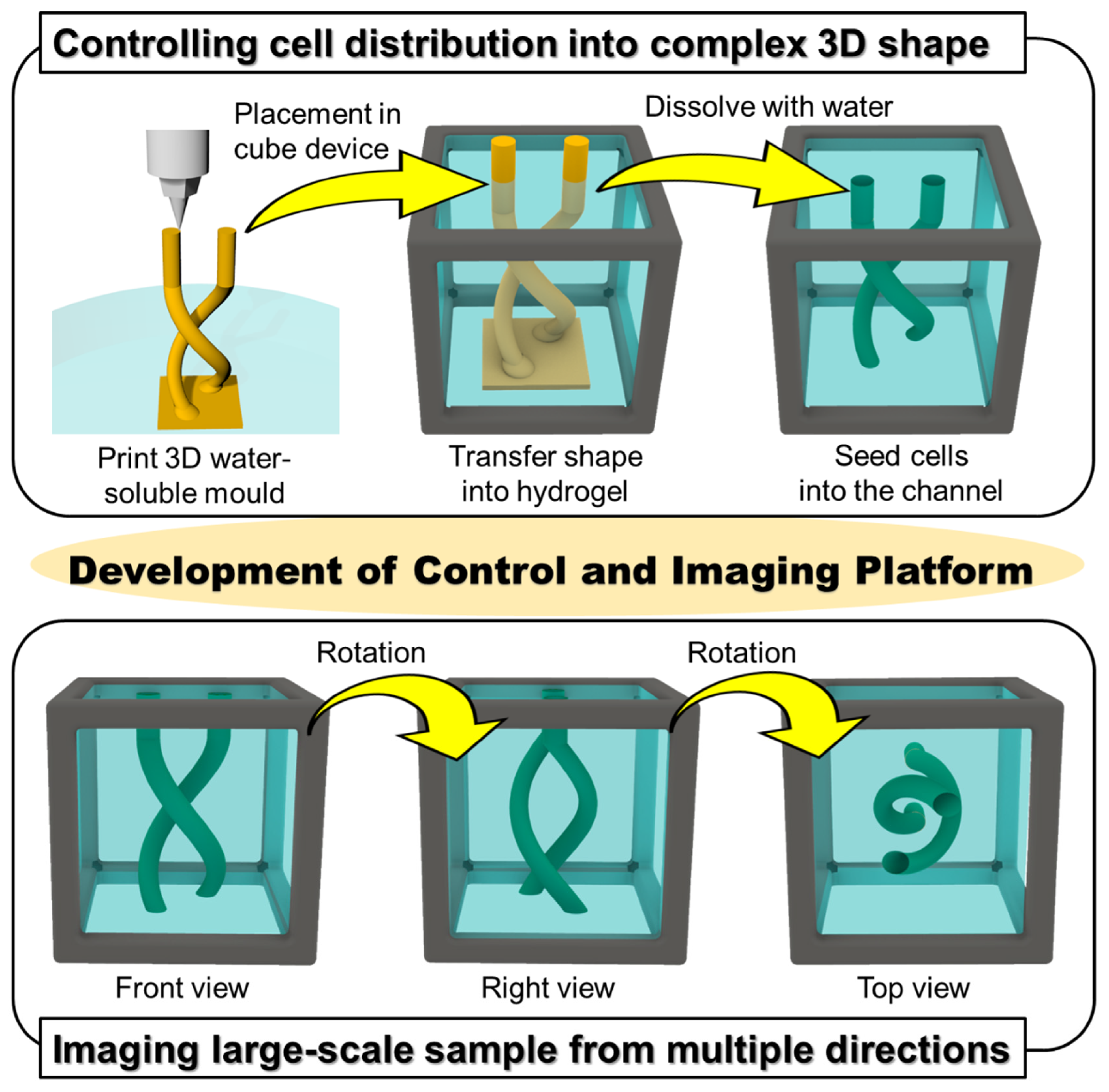 Micromachines 13 00156 g001