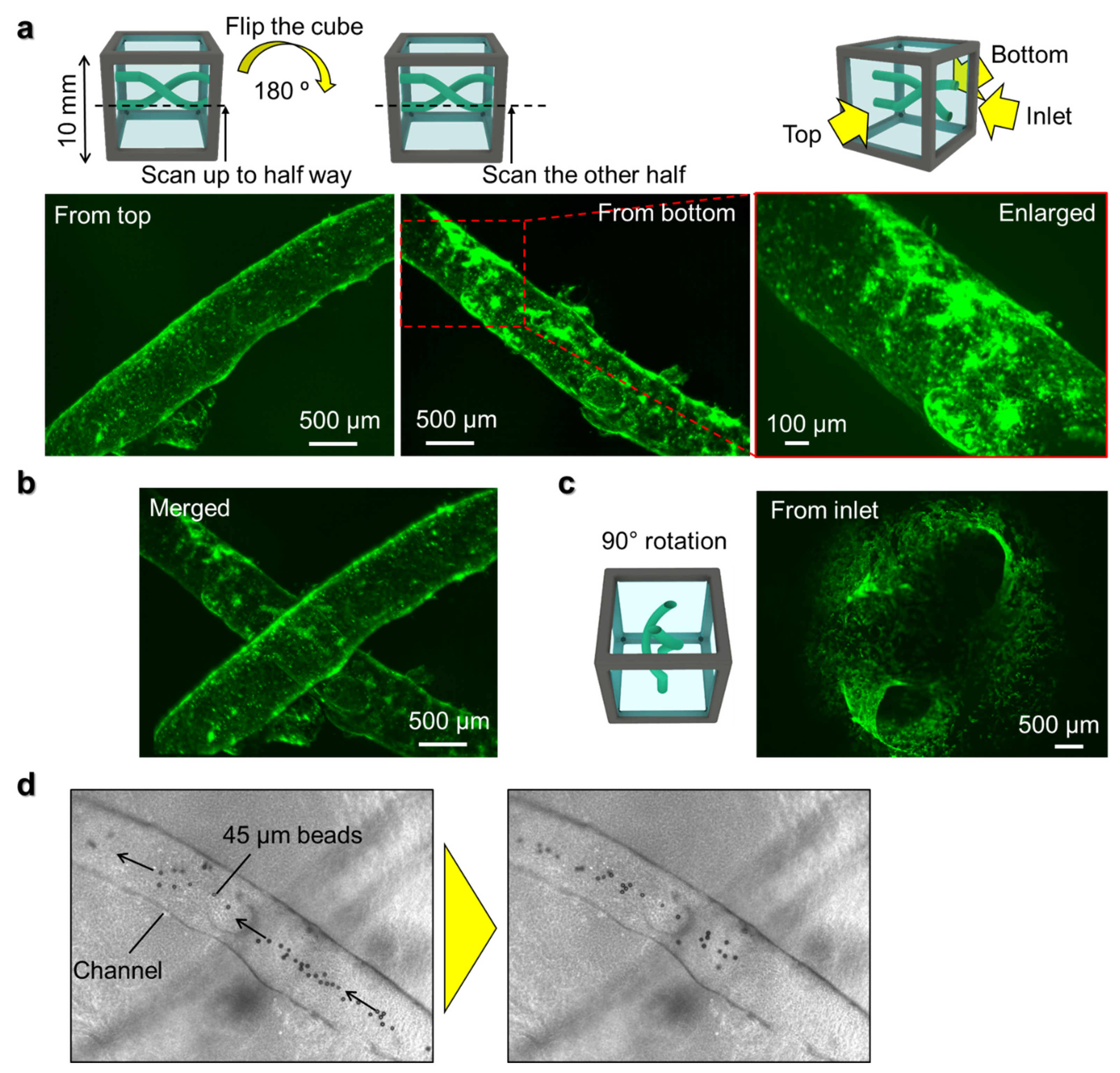 Micromachines 13 00156 g005
