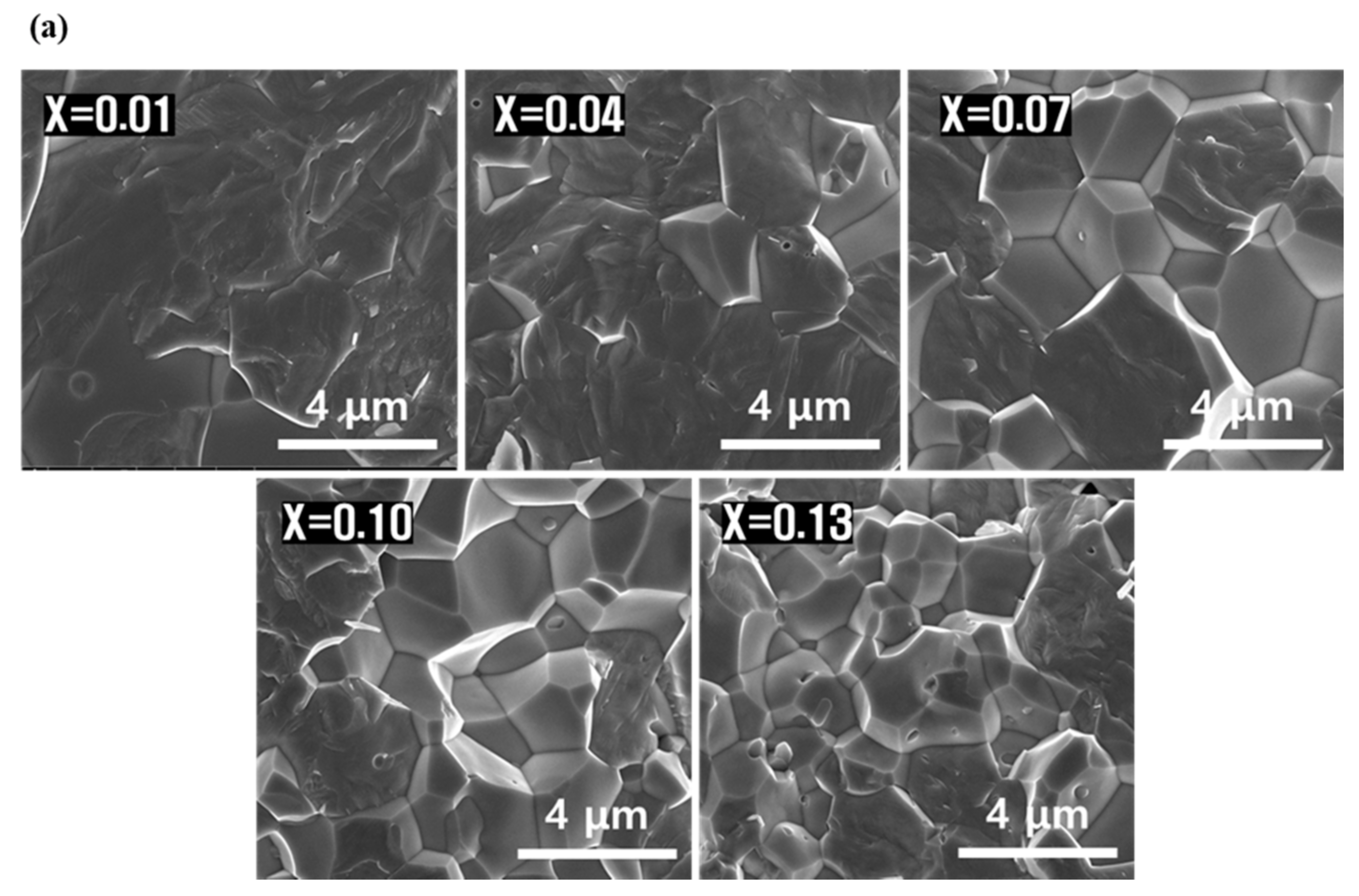 Micromachines 13 00158 g002a