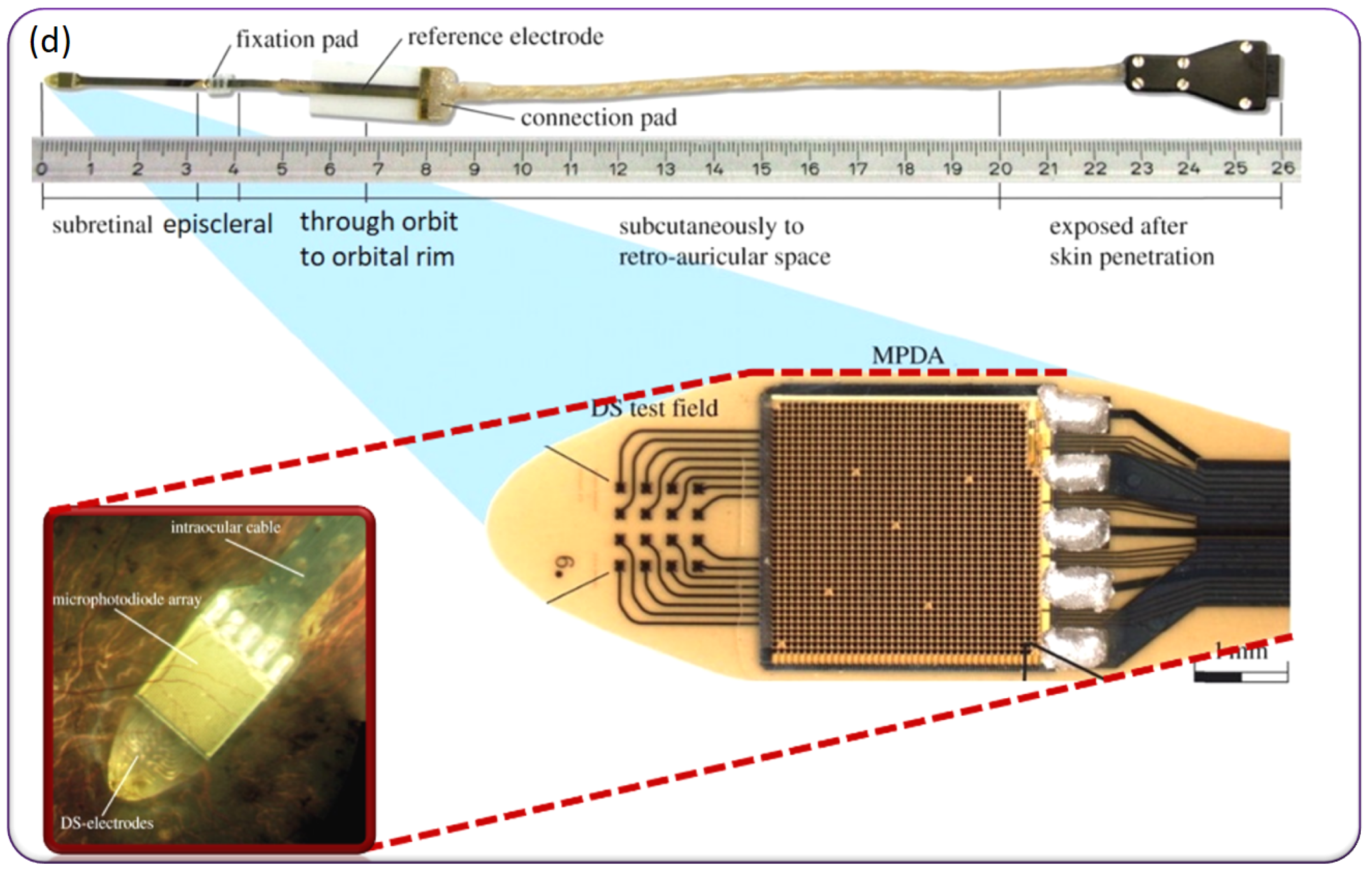Micromachines 13 00161 g009b Micromachines 13 00161 g009b