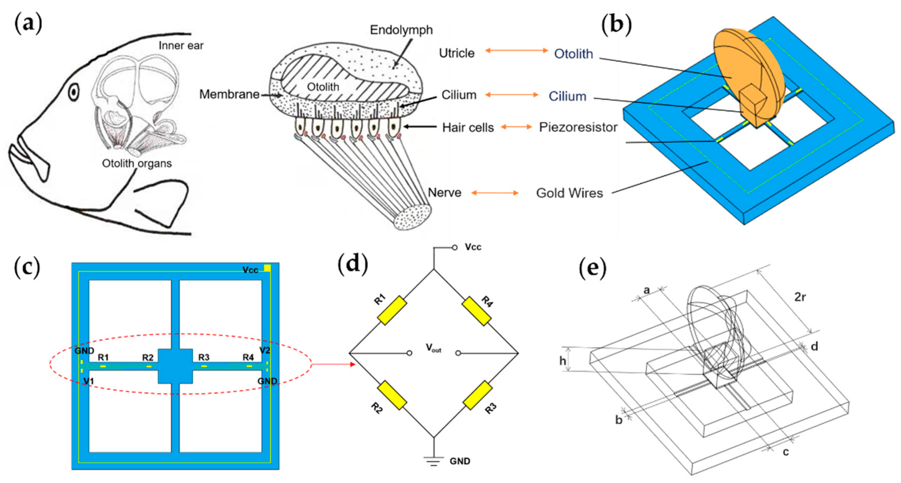 Micromachines 13 00163 g001