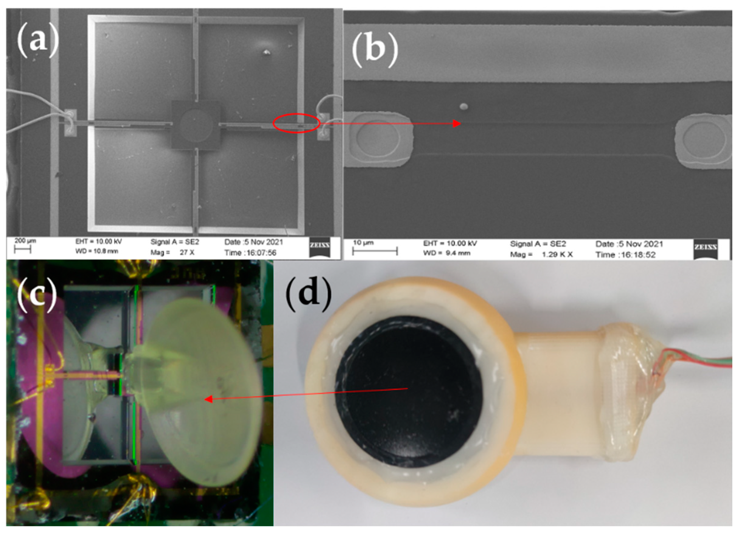 Micromachines 13 00163 g005