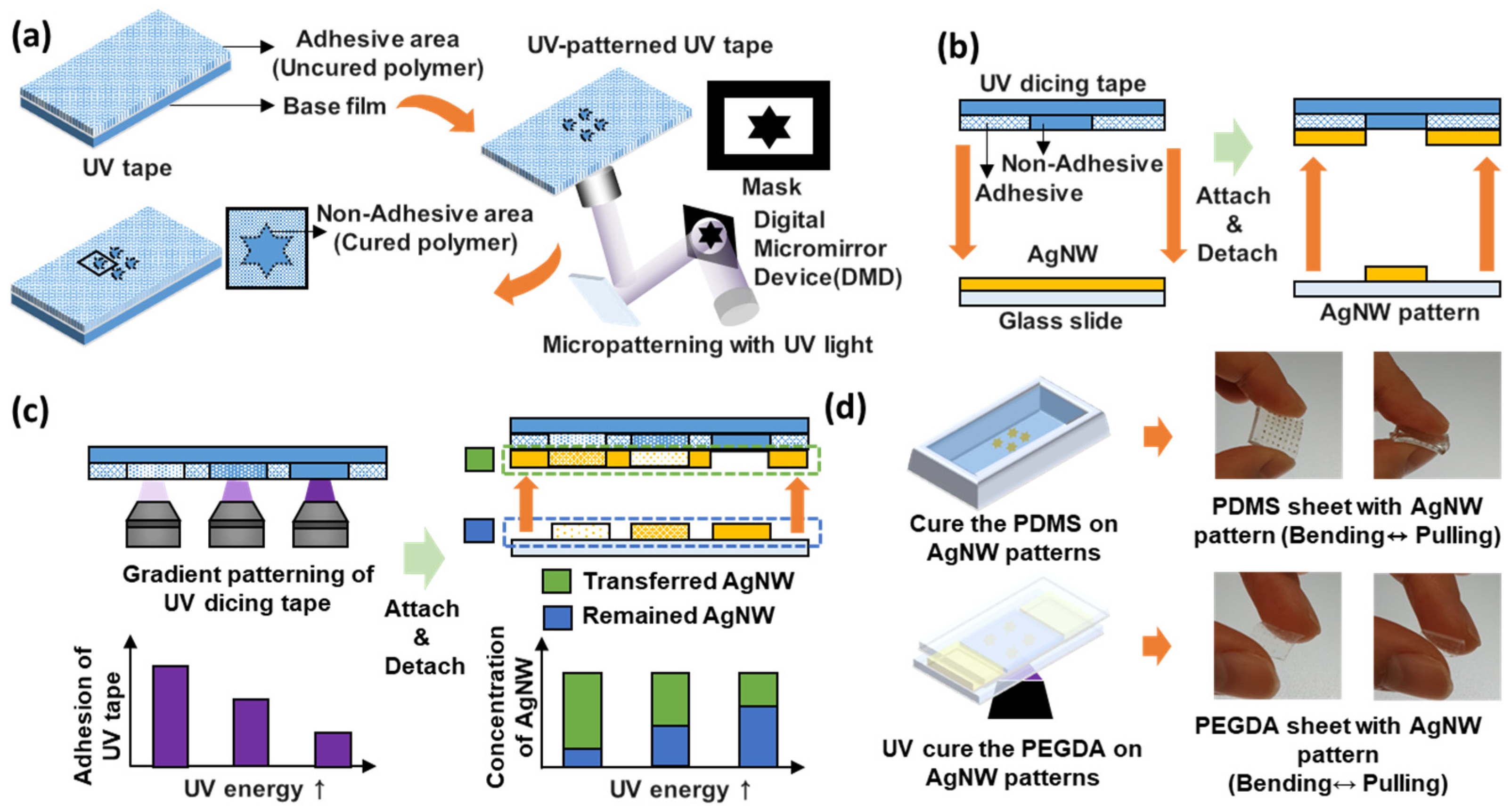 Micromachines 13 00168 g001