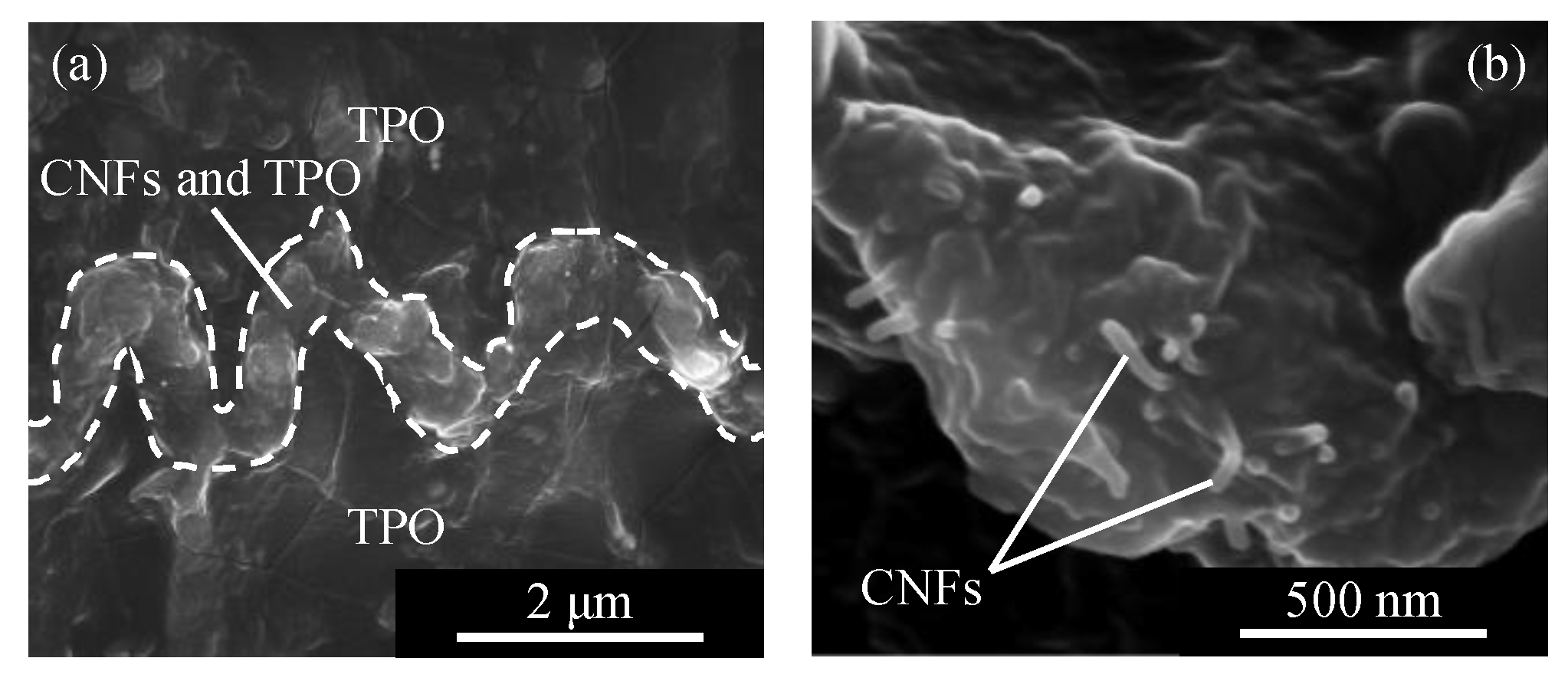 Micromachines 13 00170 g006
