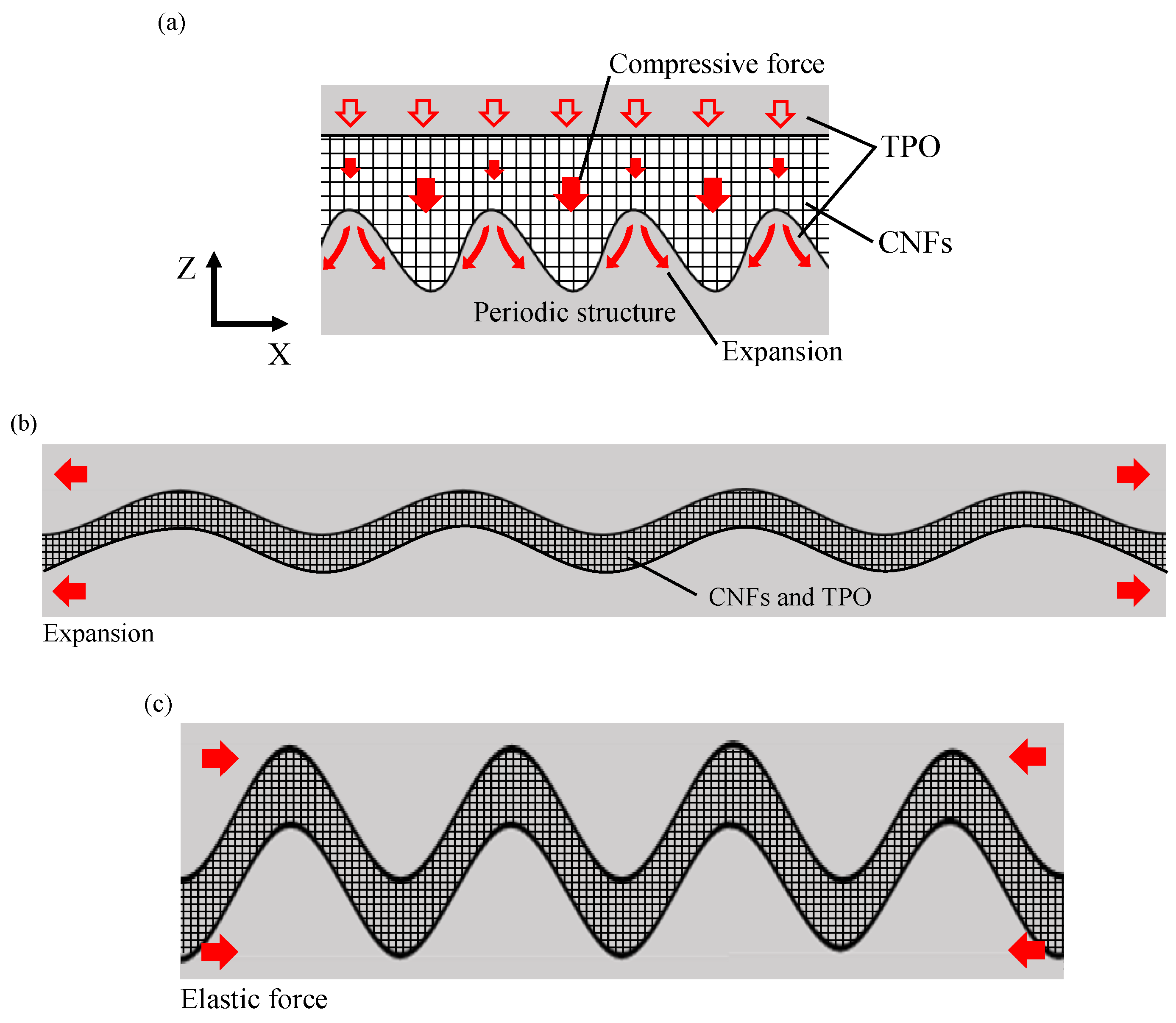 Micromachines 13 00170 g007
