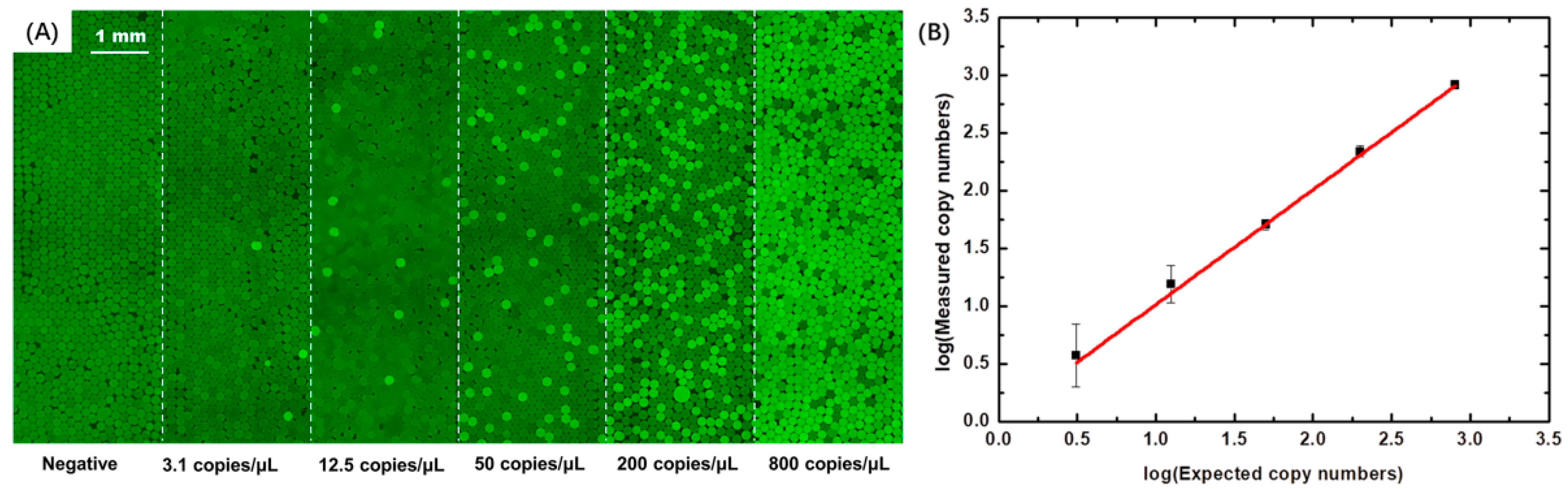 Micromachines 13 00171 g005
