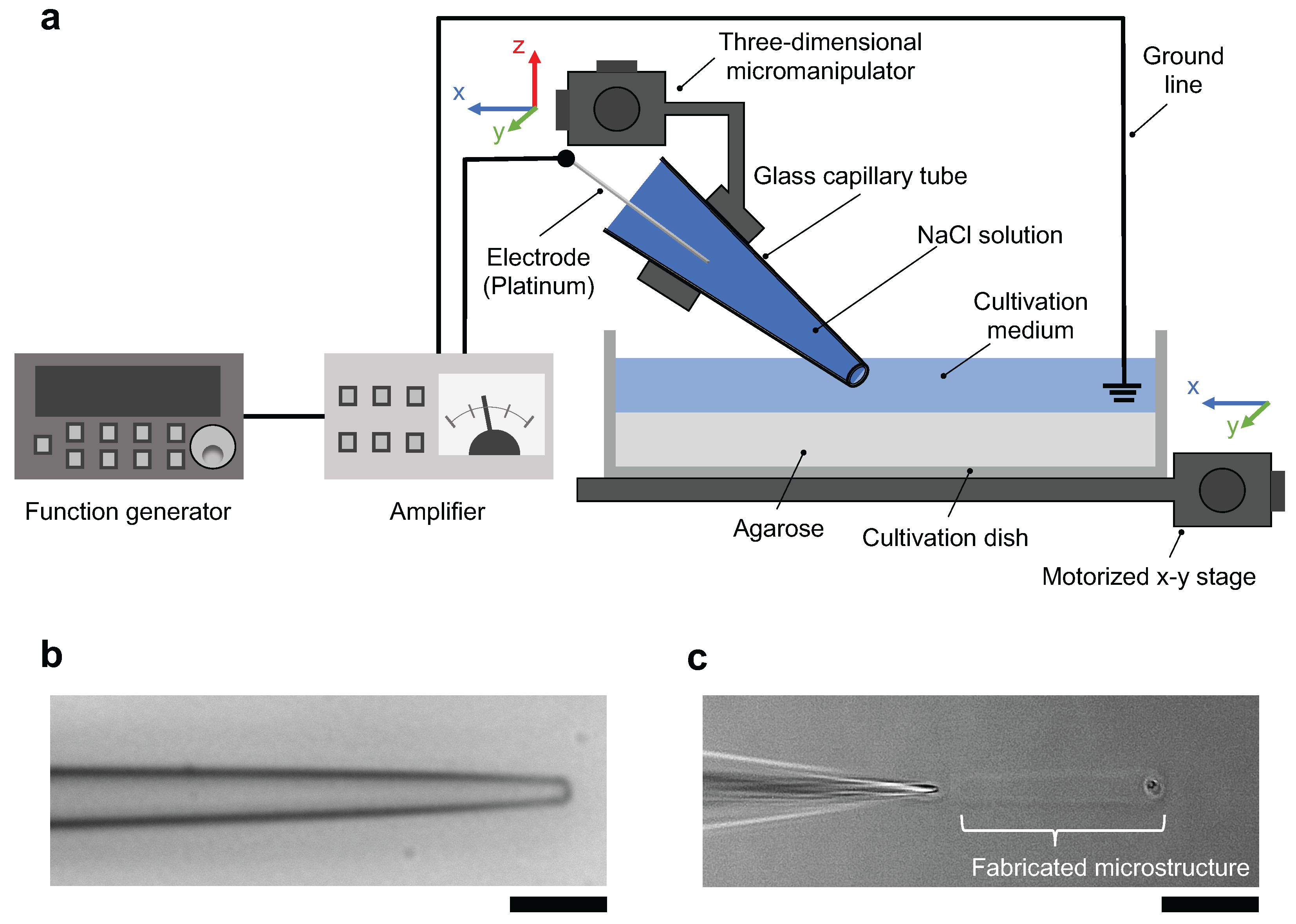 Micromachines 13 00174 g001
