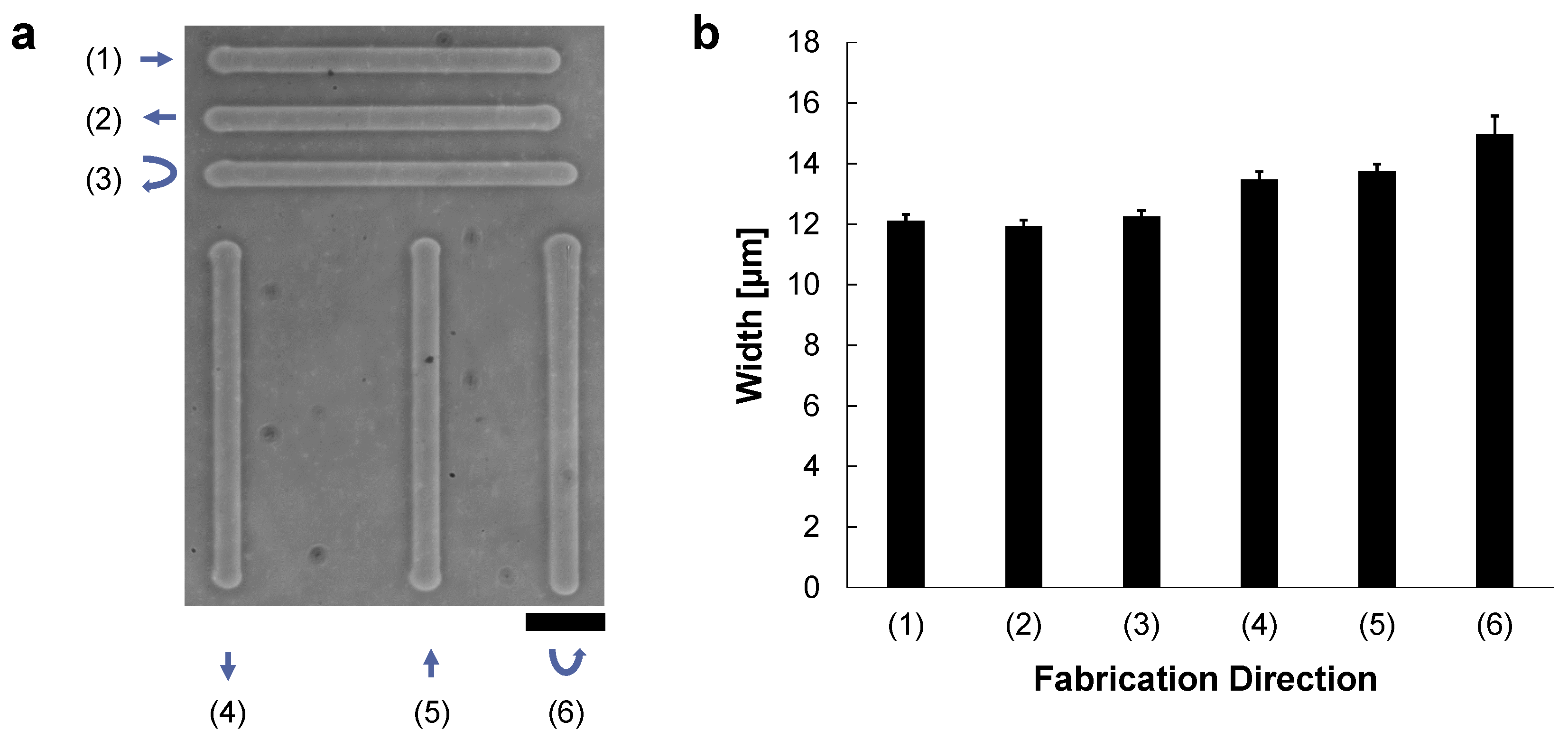 Micromachines 13 00174 g002