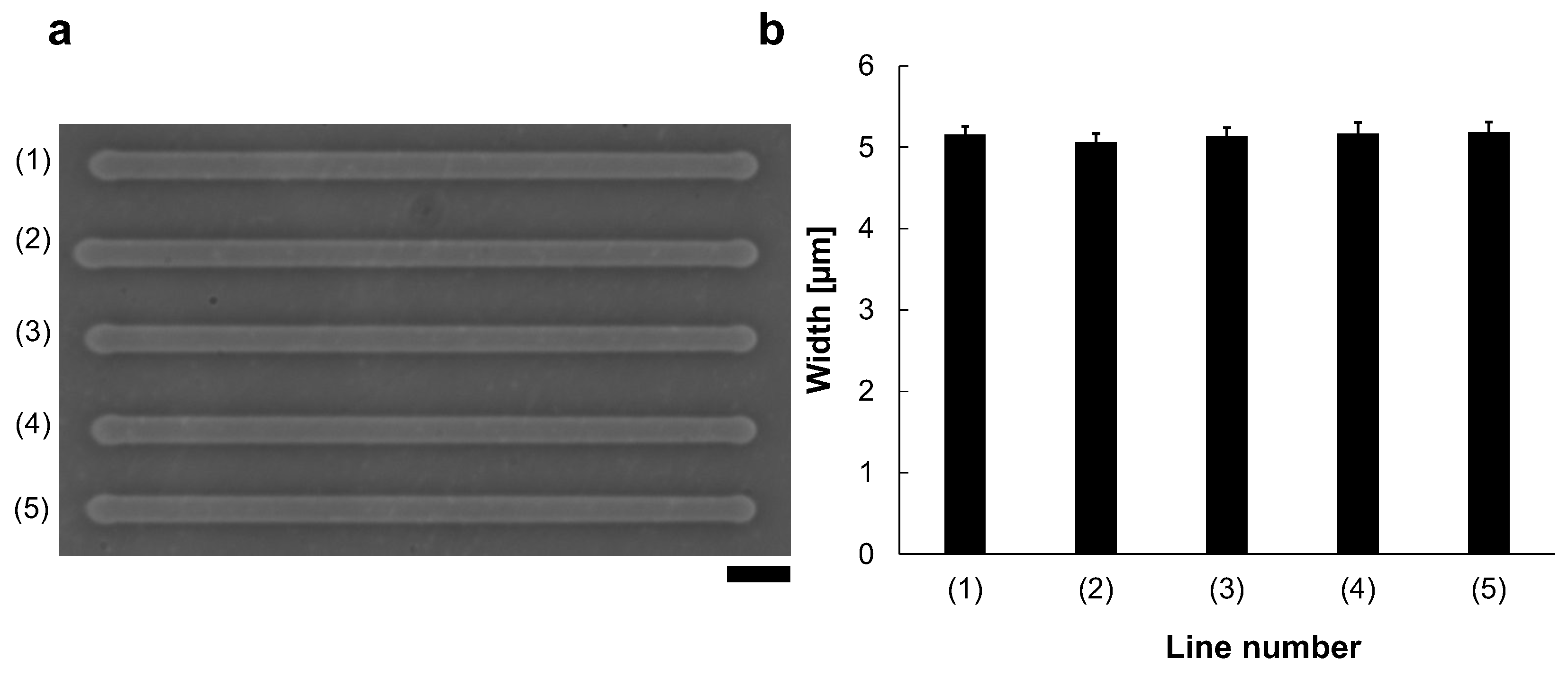 Micromachines 13 00174 g003